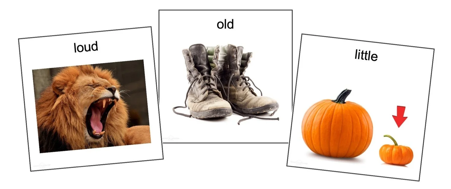 Teaching Adjectives to Preschoolers: Build Vocabulary Through ...