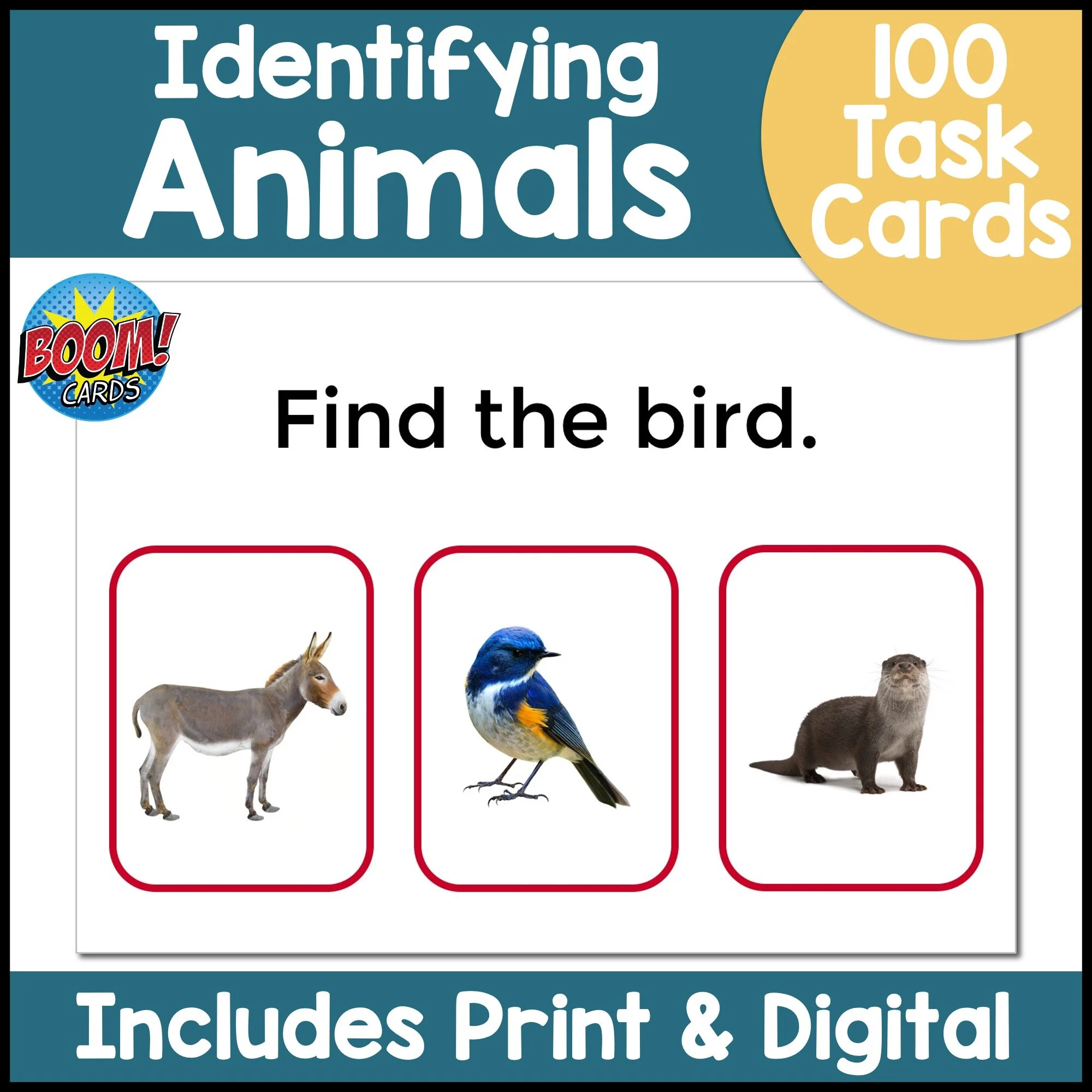 Identify Animals