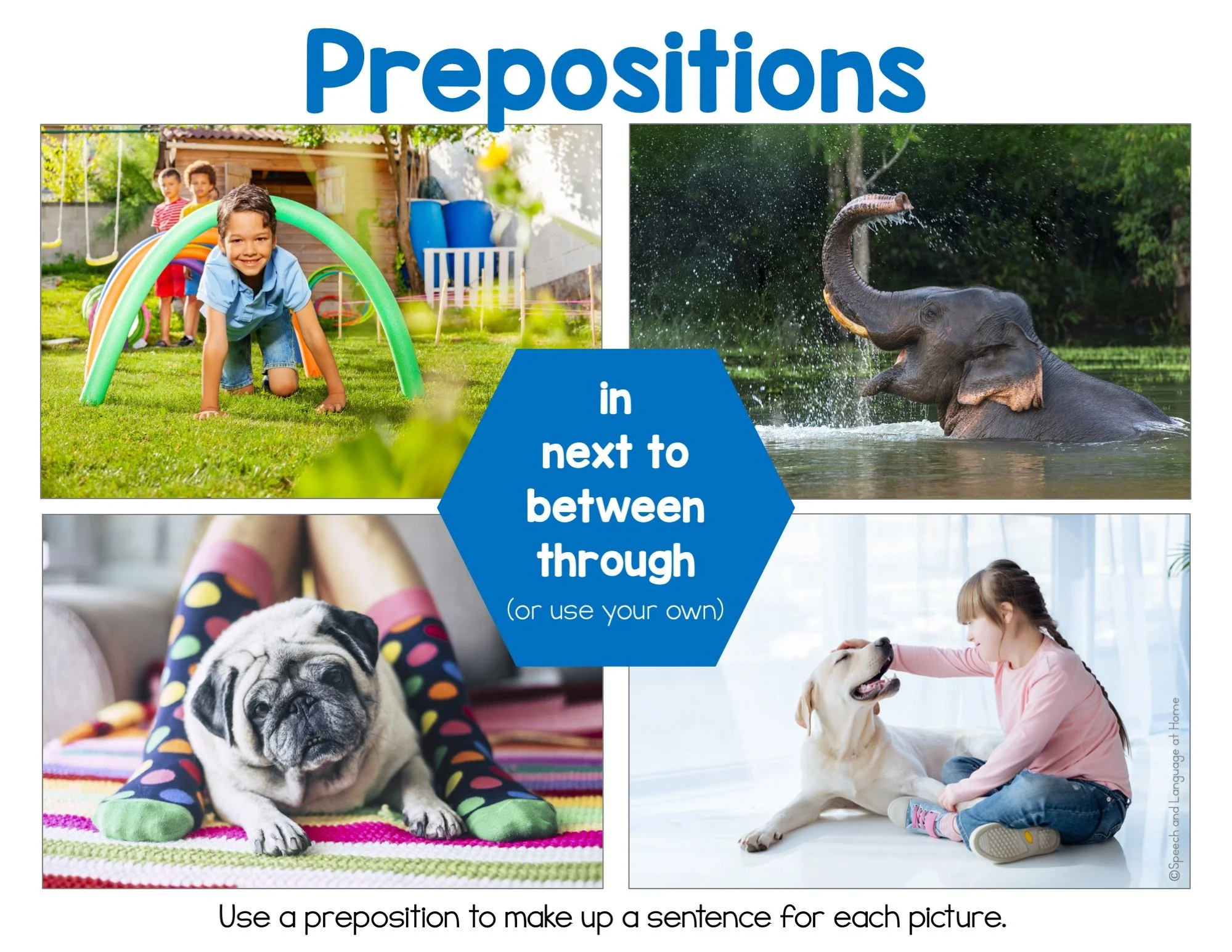 Four pictures of kids and animals, each shown as an example of the prepositions in, next to, between, and through.