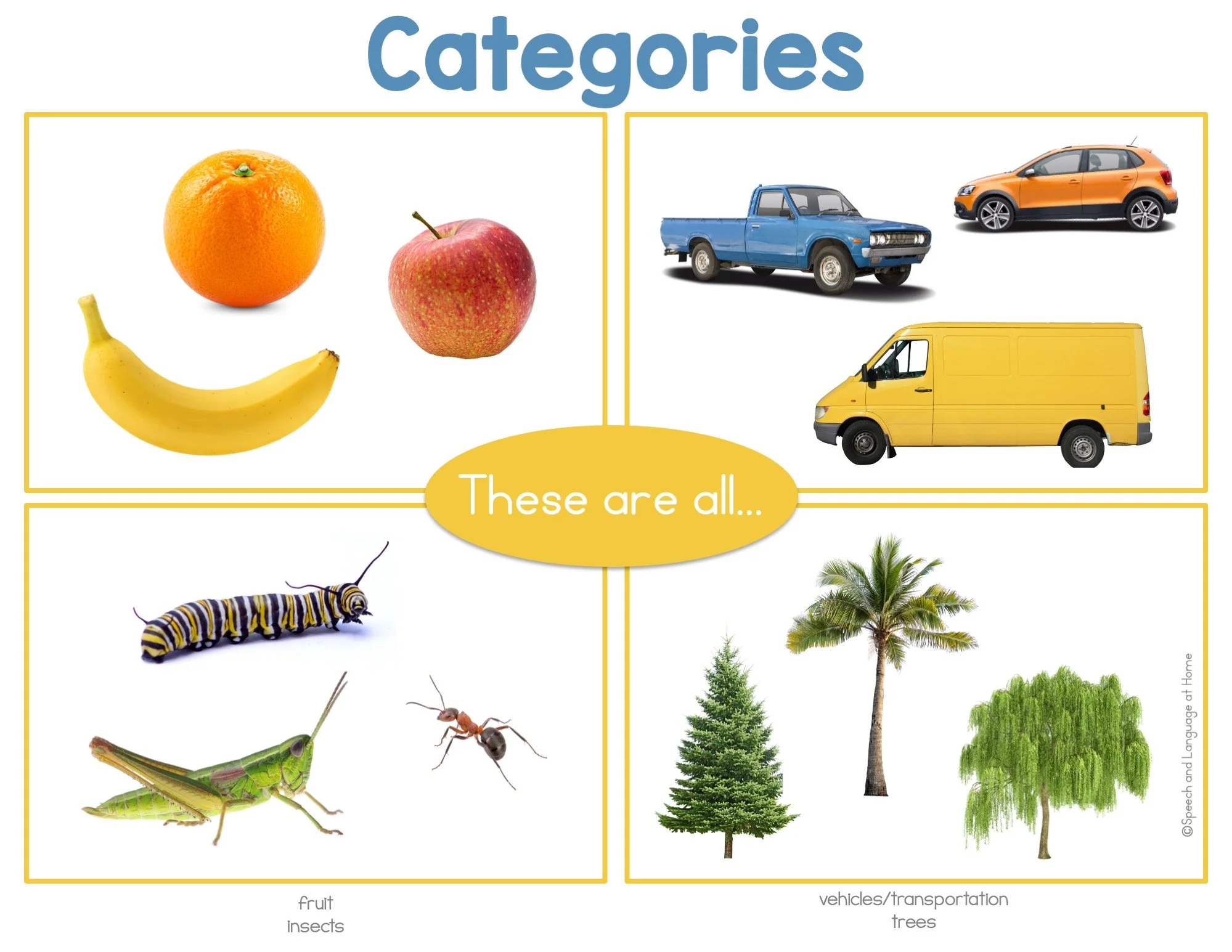 Four boxes with groups of pictures from the same categories; fruit, vehicles, insects, and trees.