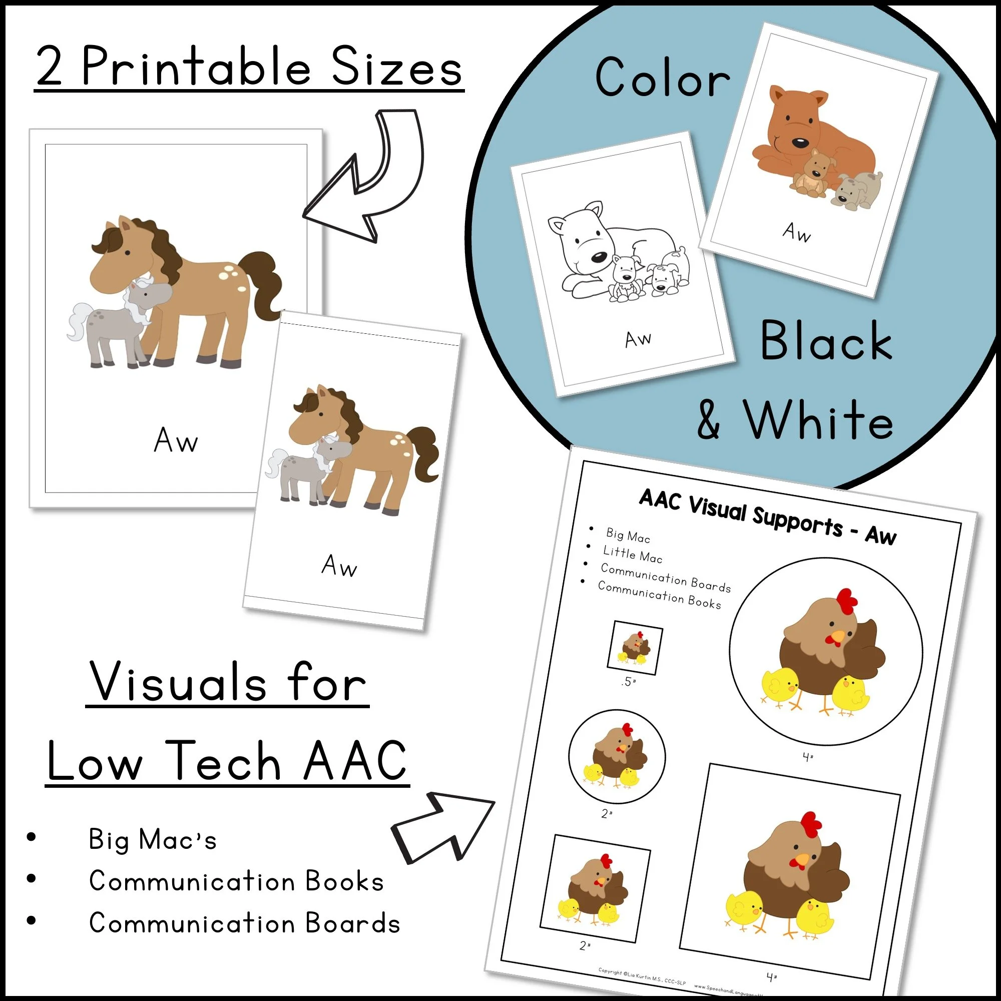 Comes in 2 printable sizes, color and black and white, and visuals for low tech AAC.