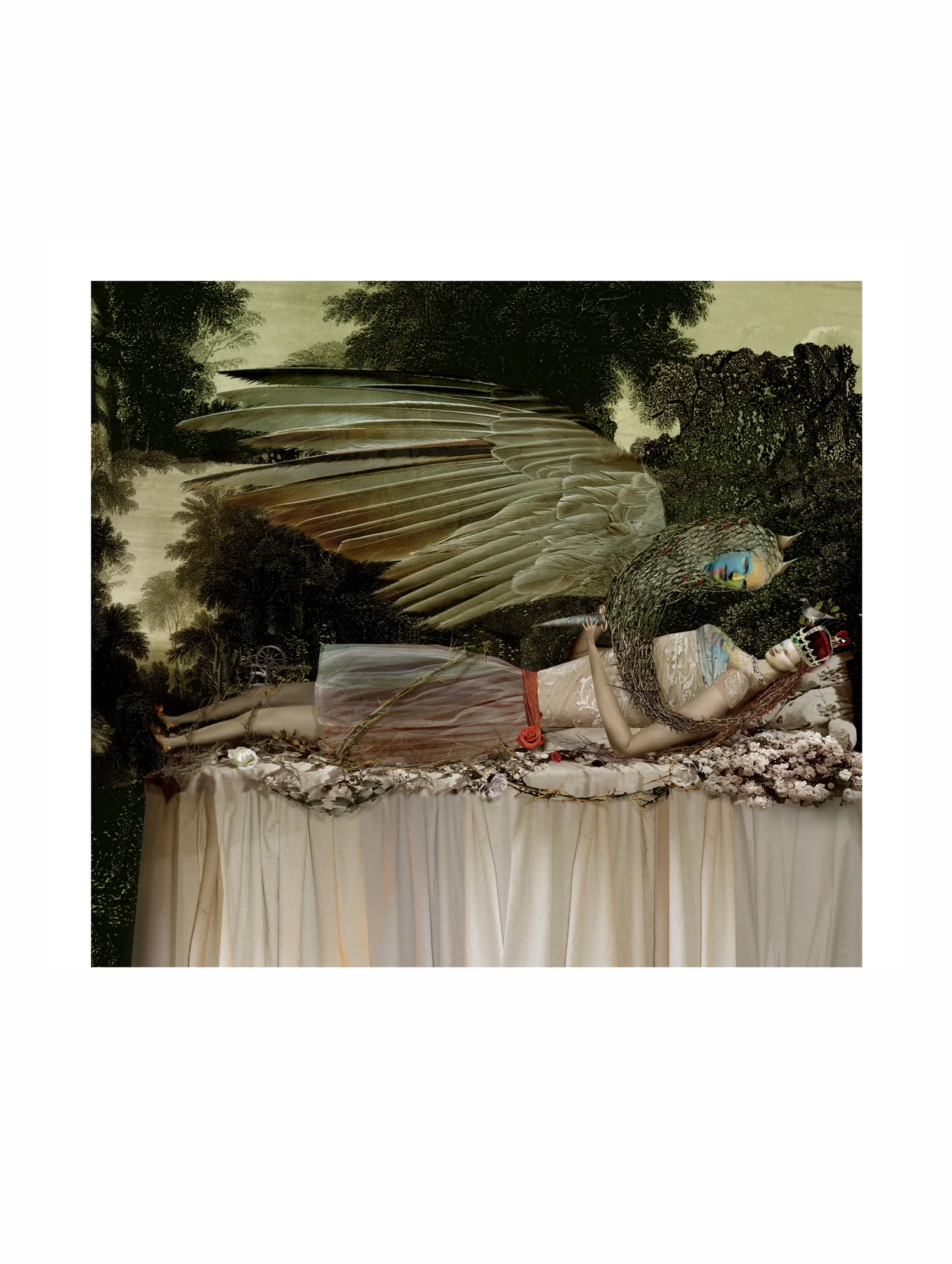 Sleeping Beauty - Awake