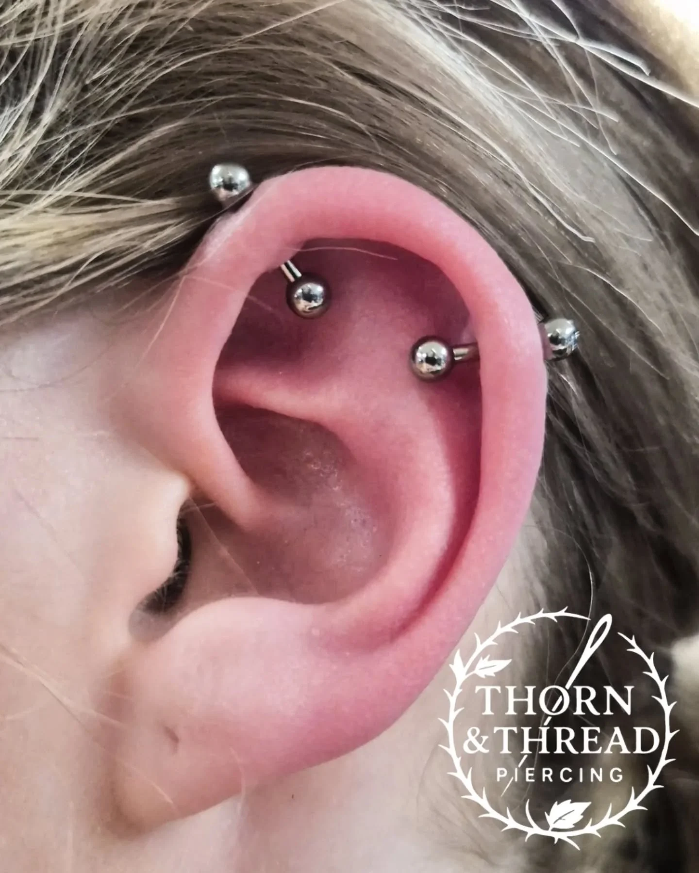 These will be turned into a scaffold in a few weeks 😍😍😍 

#scaffoldpiercing #verticalhelix #verticalhelixpiercing #thornandthread #realarttattoo #piercing