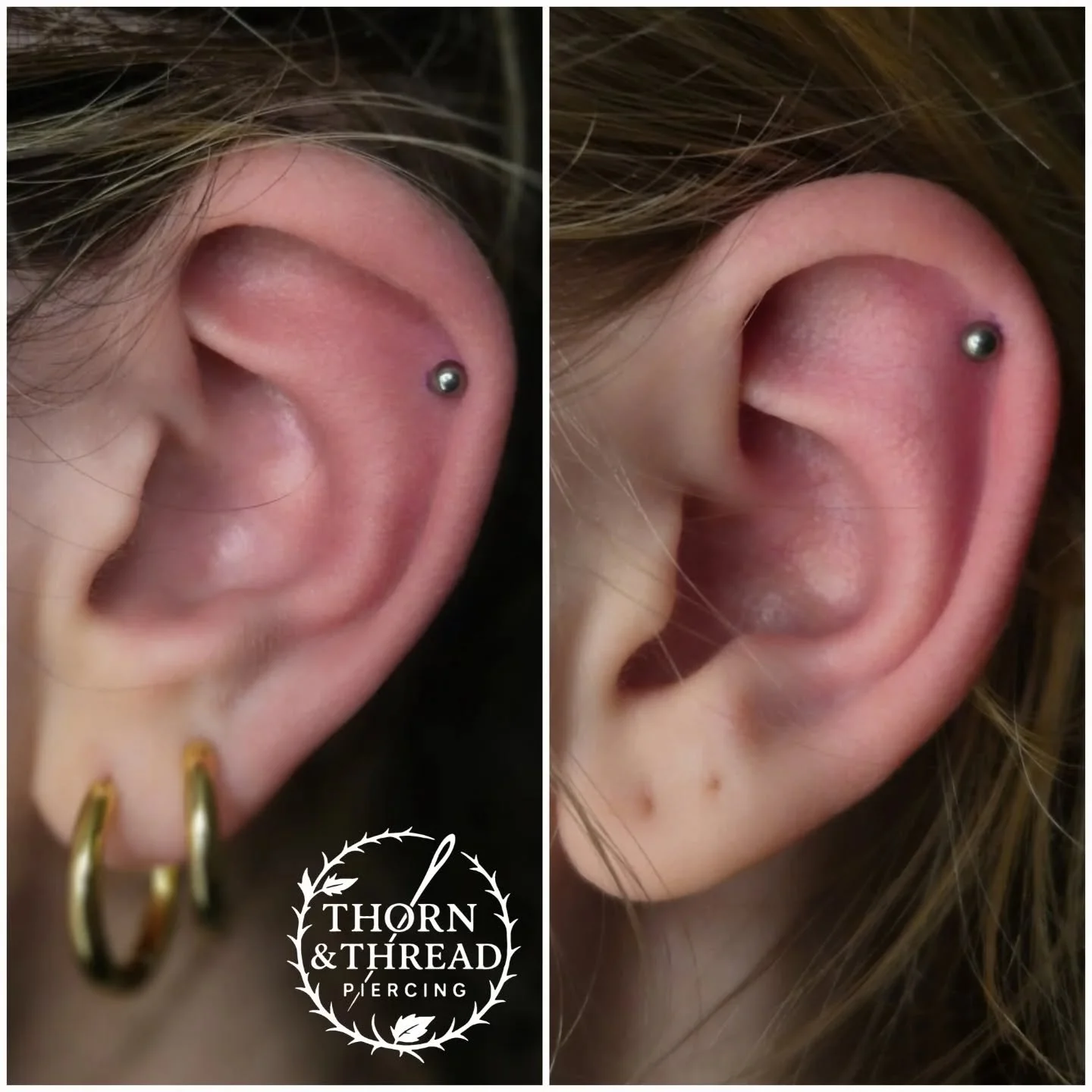 Couple of helixs on some friends 🧡 
@realarttattoo 

#helixpiercing #earinspo #earpiercings #pericing #ear