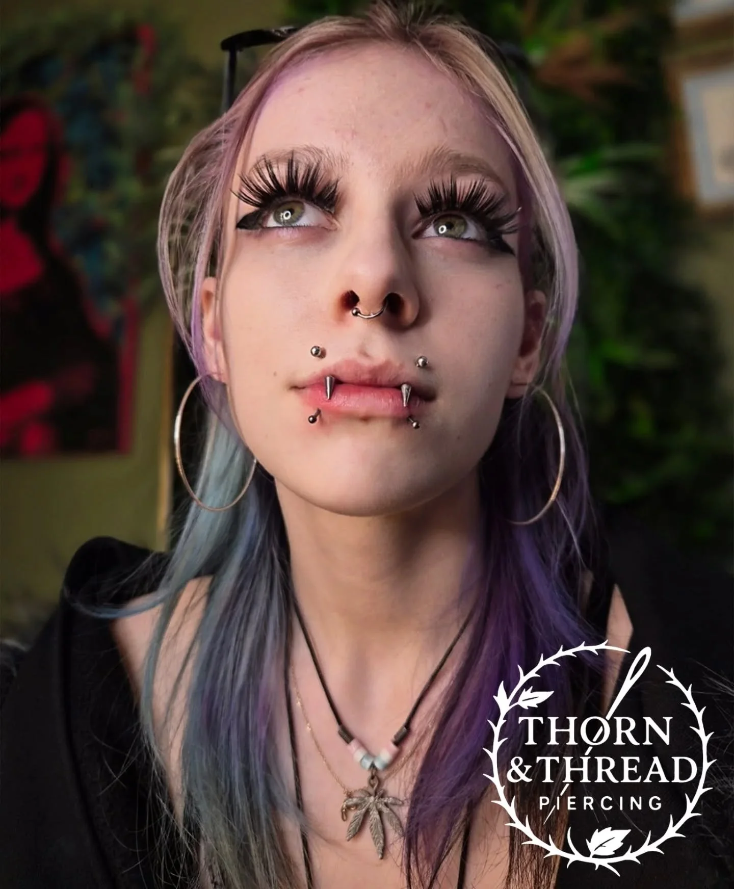 We added these pretty snake bites to this set up today 😍😍 

#snakebites #angelfangs #facepiercings #piercer