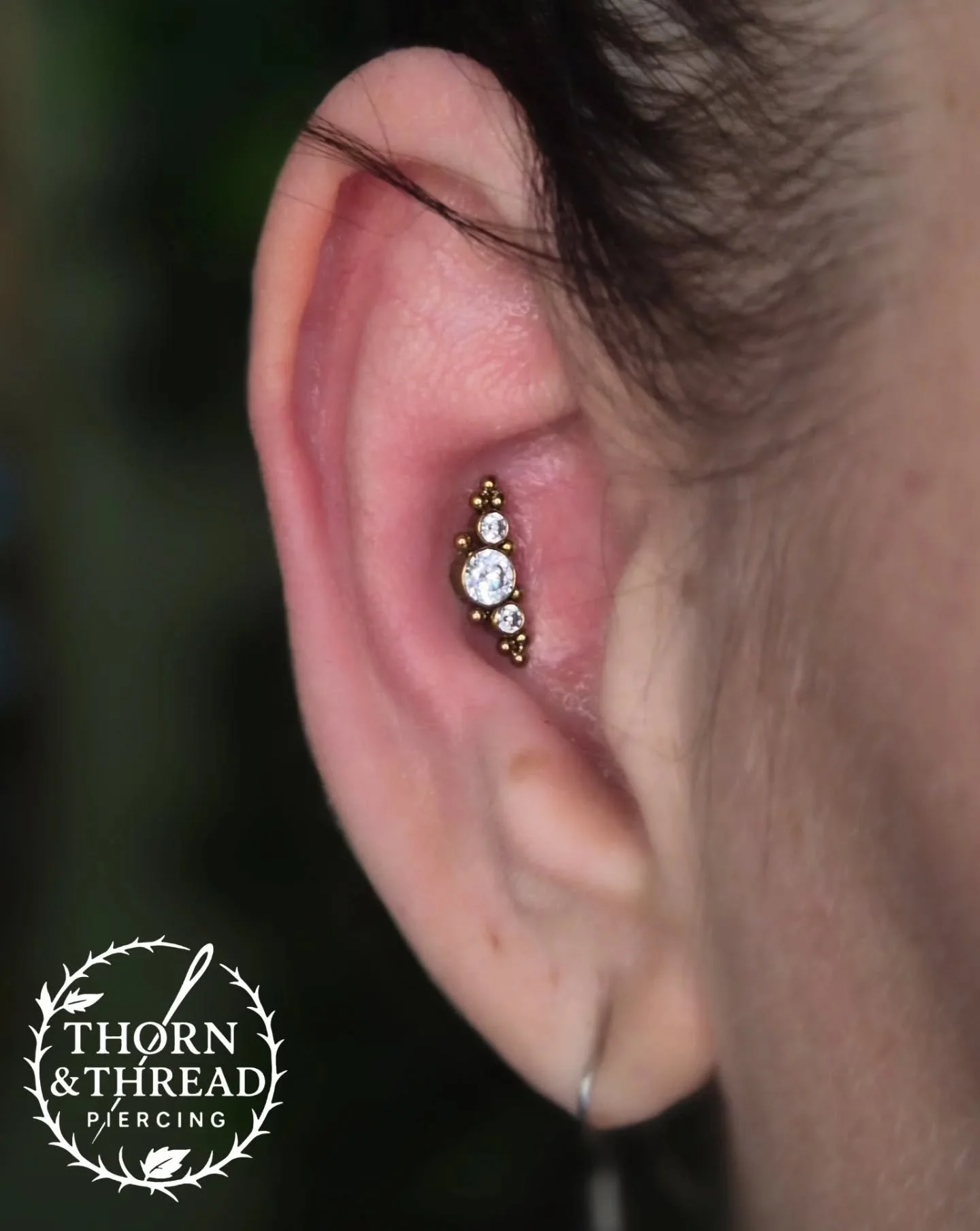 Beautiful custom peice by @qualitibodyjewellery 

#conch #conchpiercing #piercings #piercer