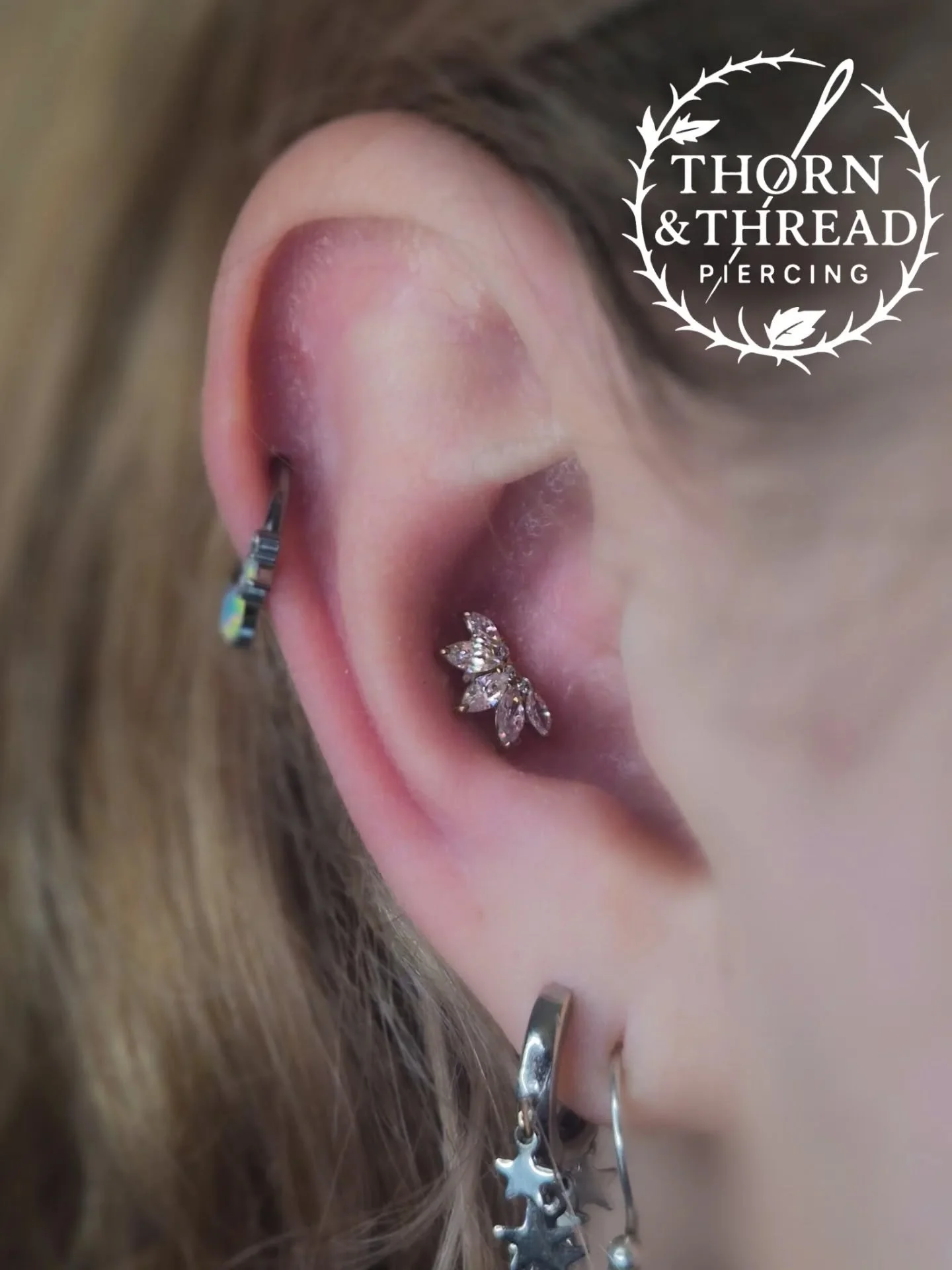 Added this pretty conch the other day 🖤🖤🖤 

#conchpiercing #conch #piercings #pierce #piercer