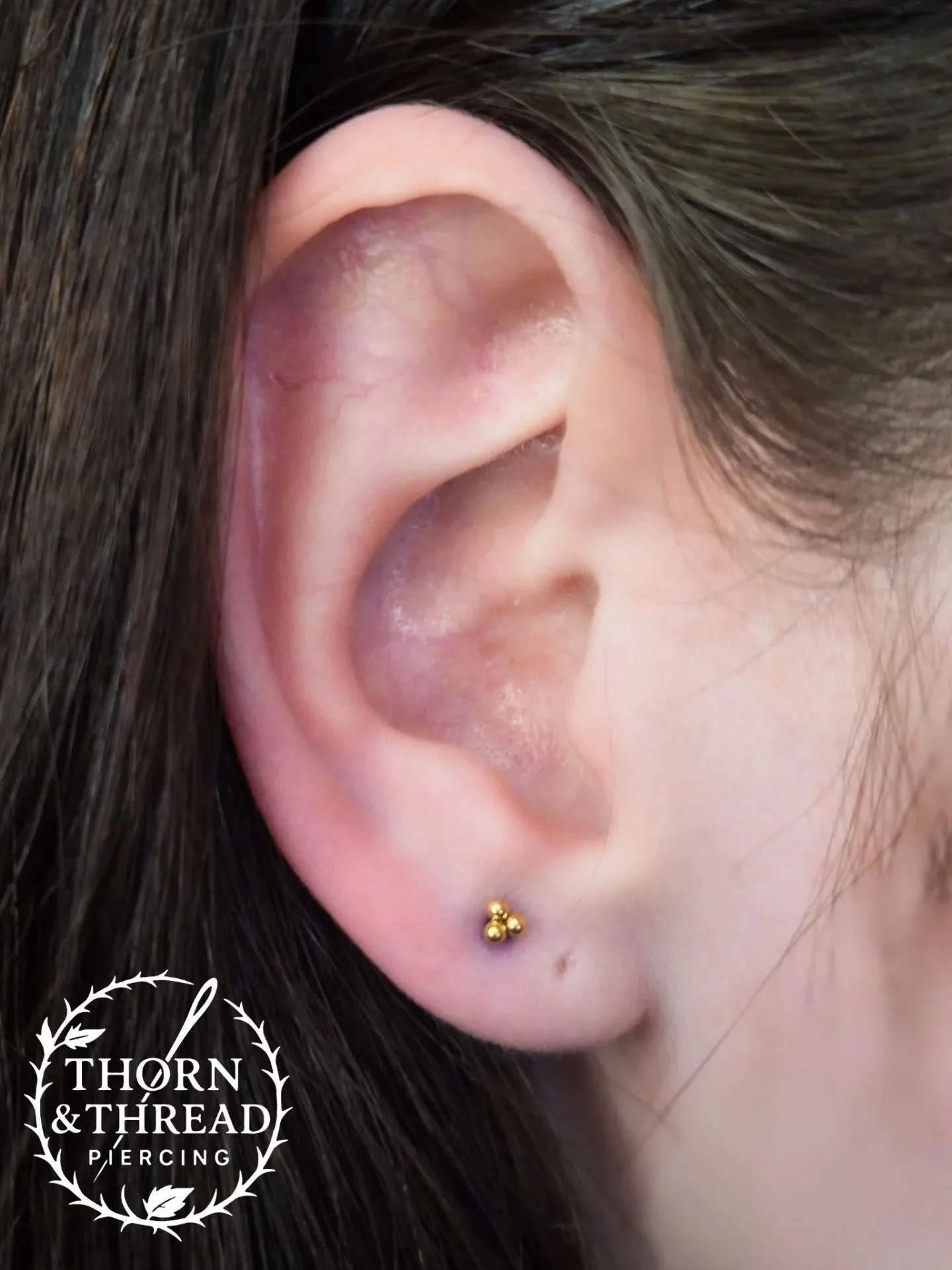 2nds 😍 

@realarttattoo 

#2nds #lobes #lobepiercing #piercing #tribead