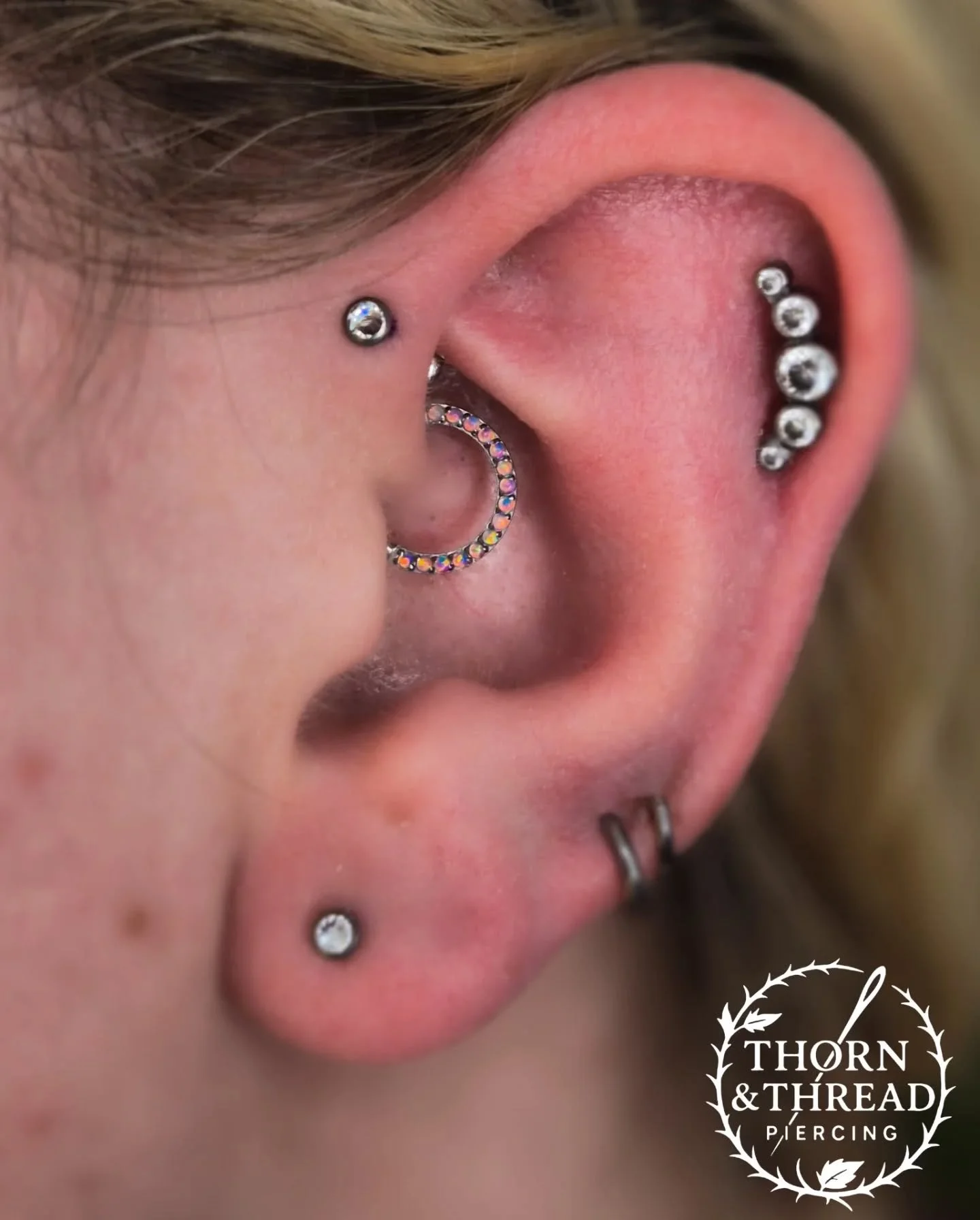 Daith upgrade today and a brand new forward helix! 

#daith #daithpiercing
#piercing #leicesterpiercer #piercer