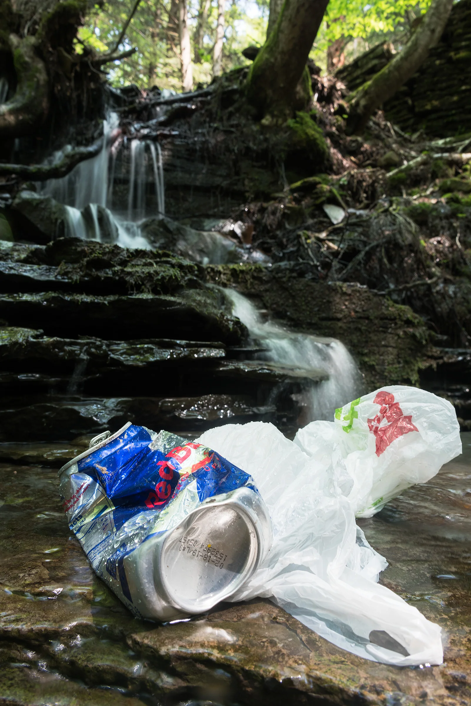 Zachary_Bolton-Can_And_Bag_LowRes.jpg