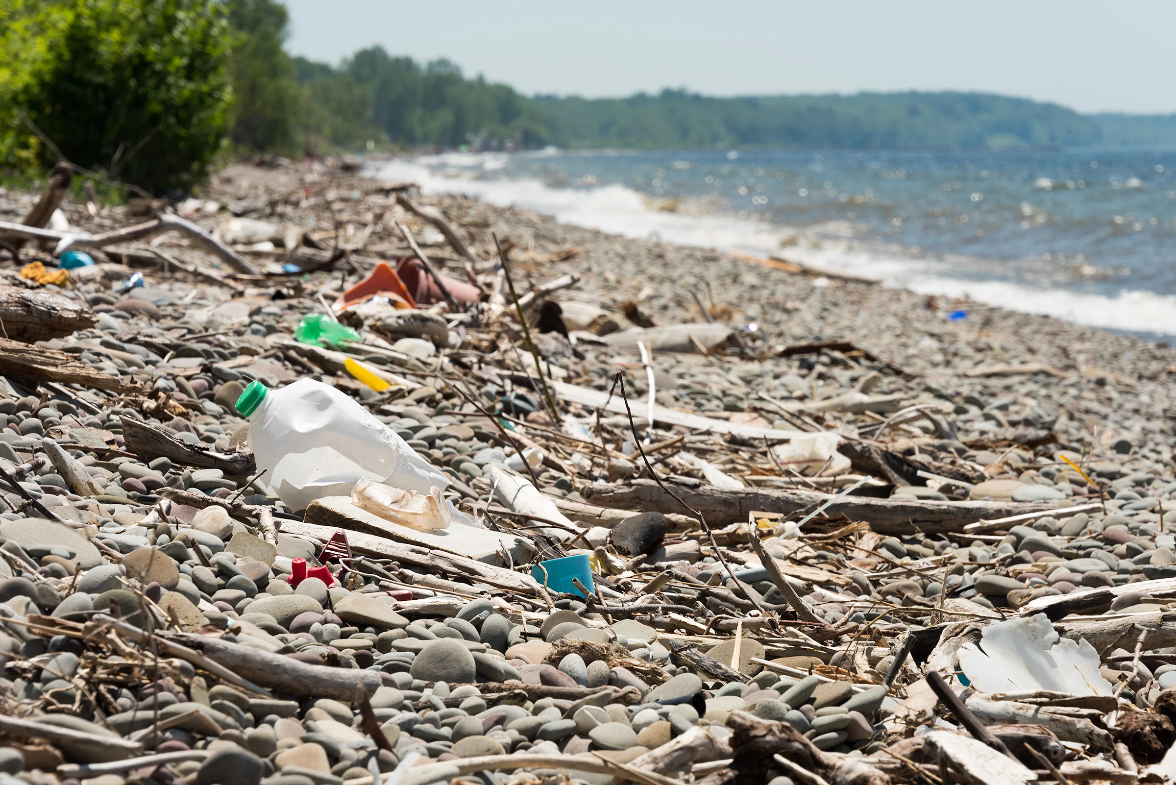 Zachary_Bolton-Beach_Litter-LowRes.jpg