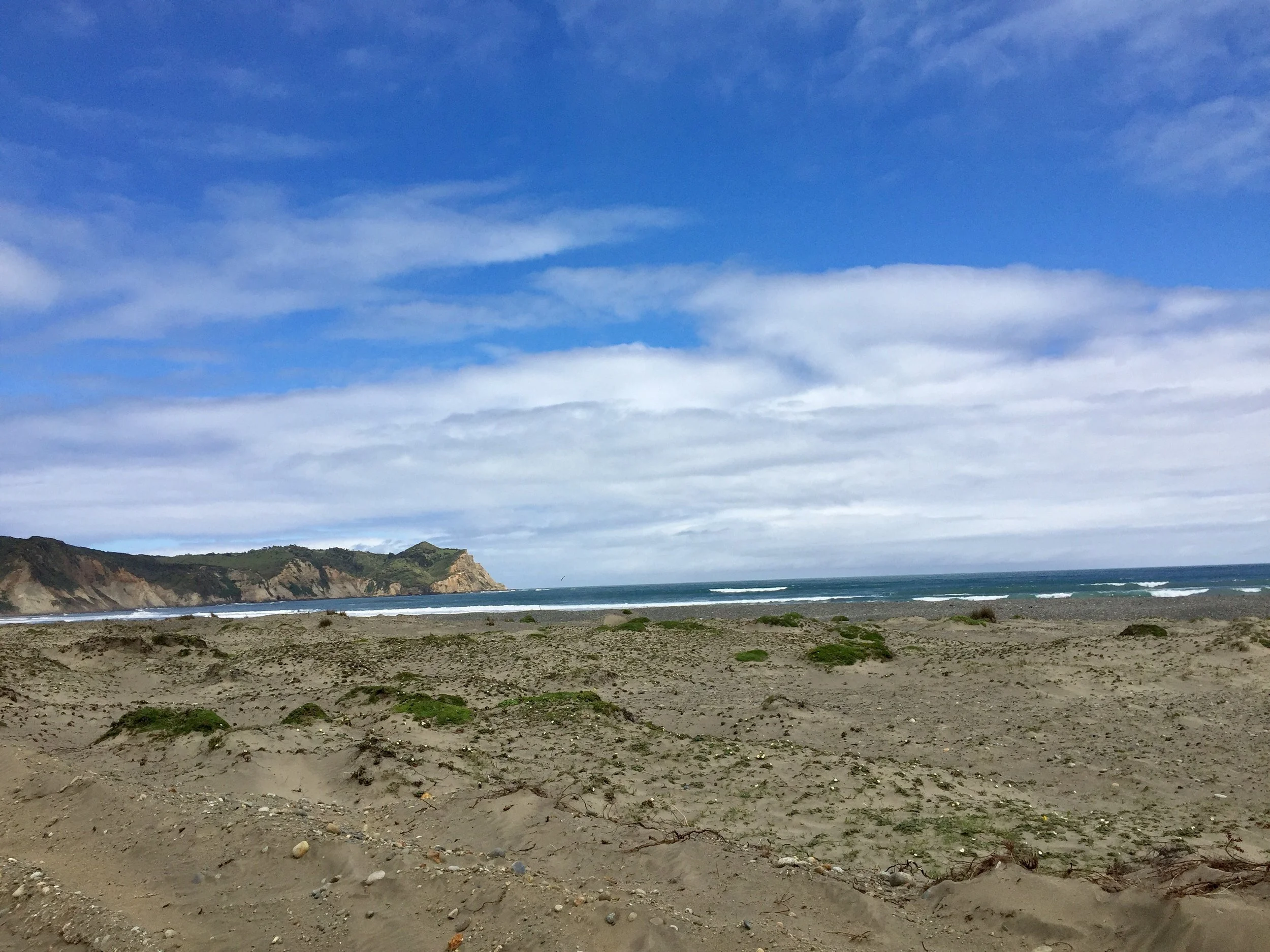 View of the Pacific Ocean