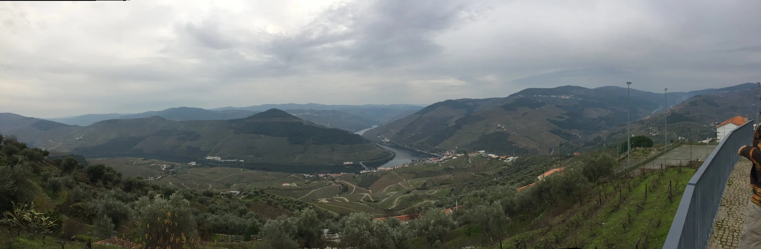 The Douro Valley