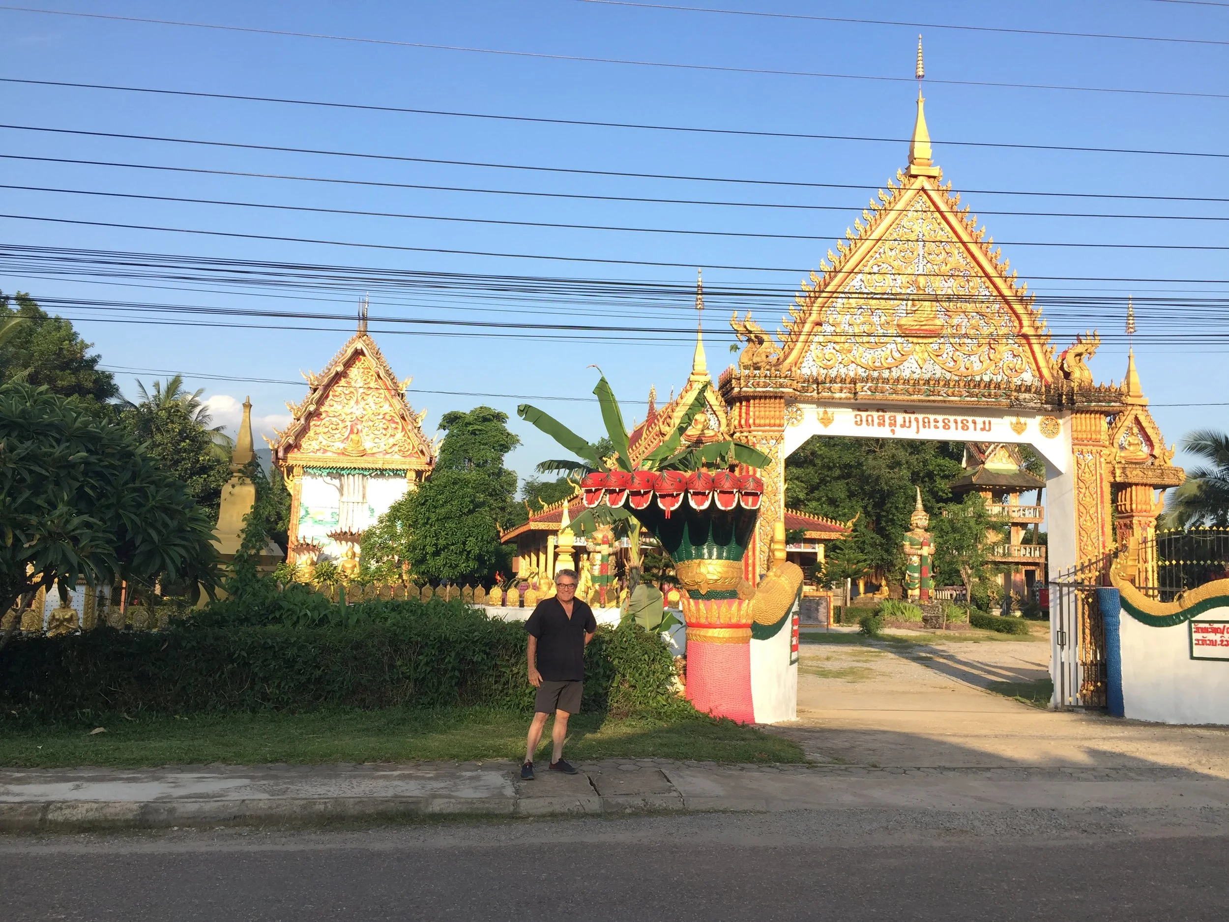 A local Wat we passed on the way to dinner