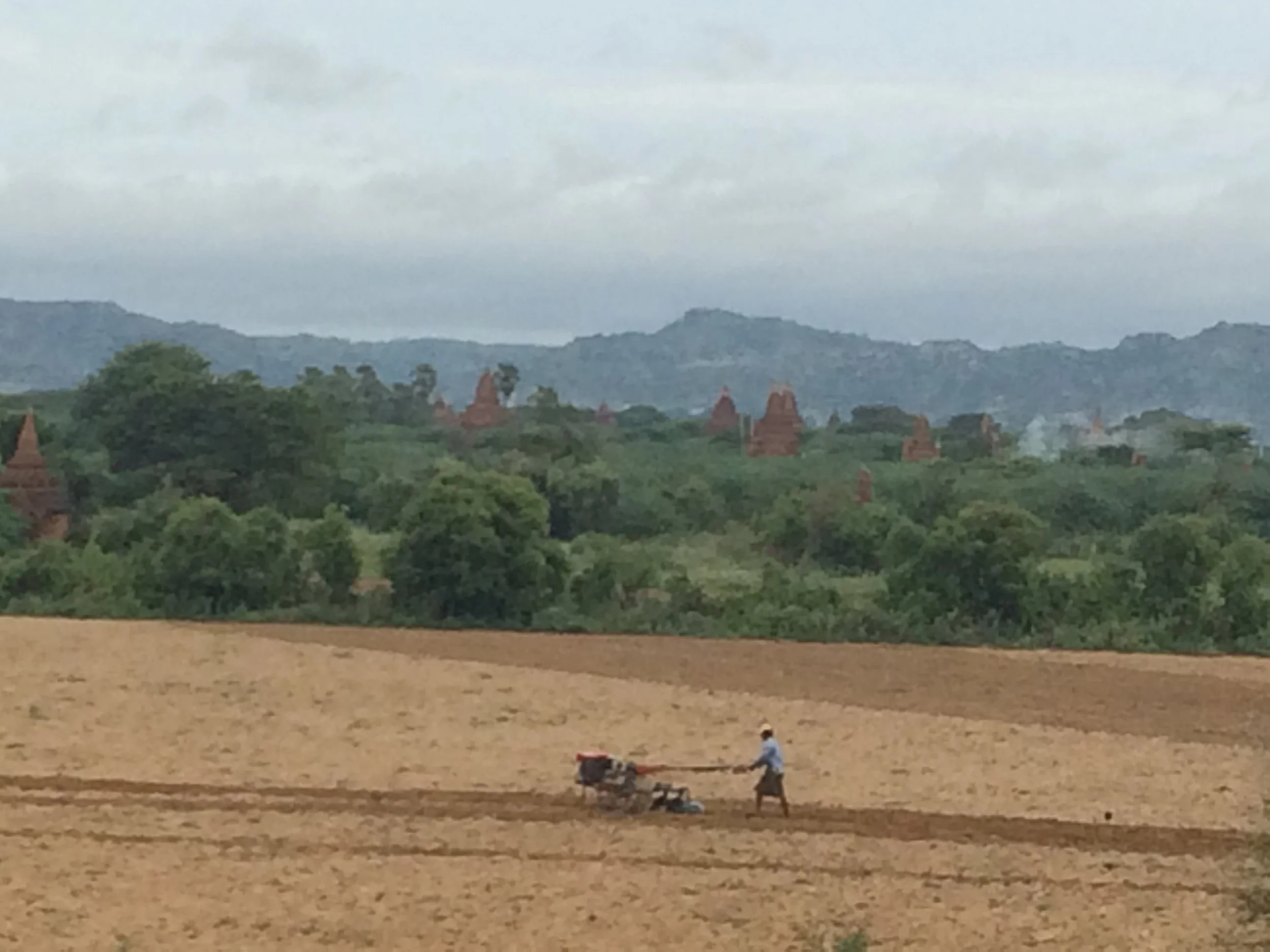 The fields with the temples, river and hills in background