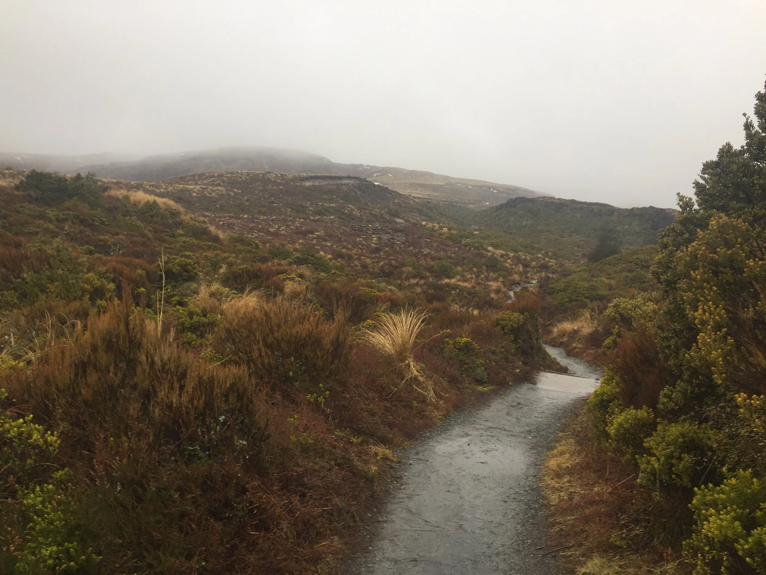 The hike to the falls (also the way of Frodo and Sam)