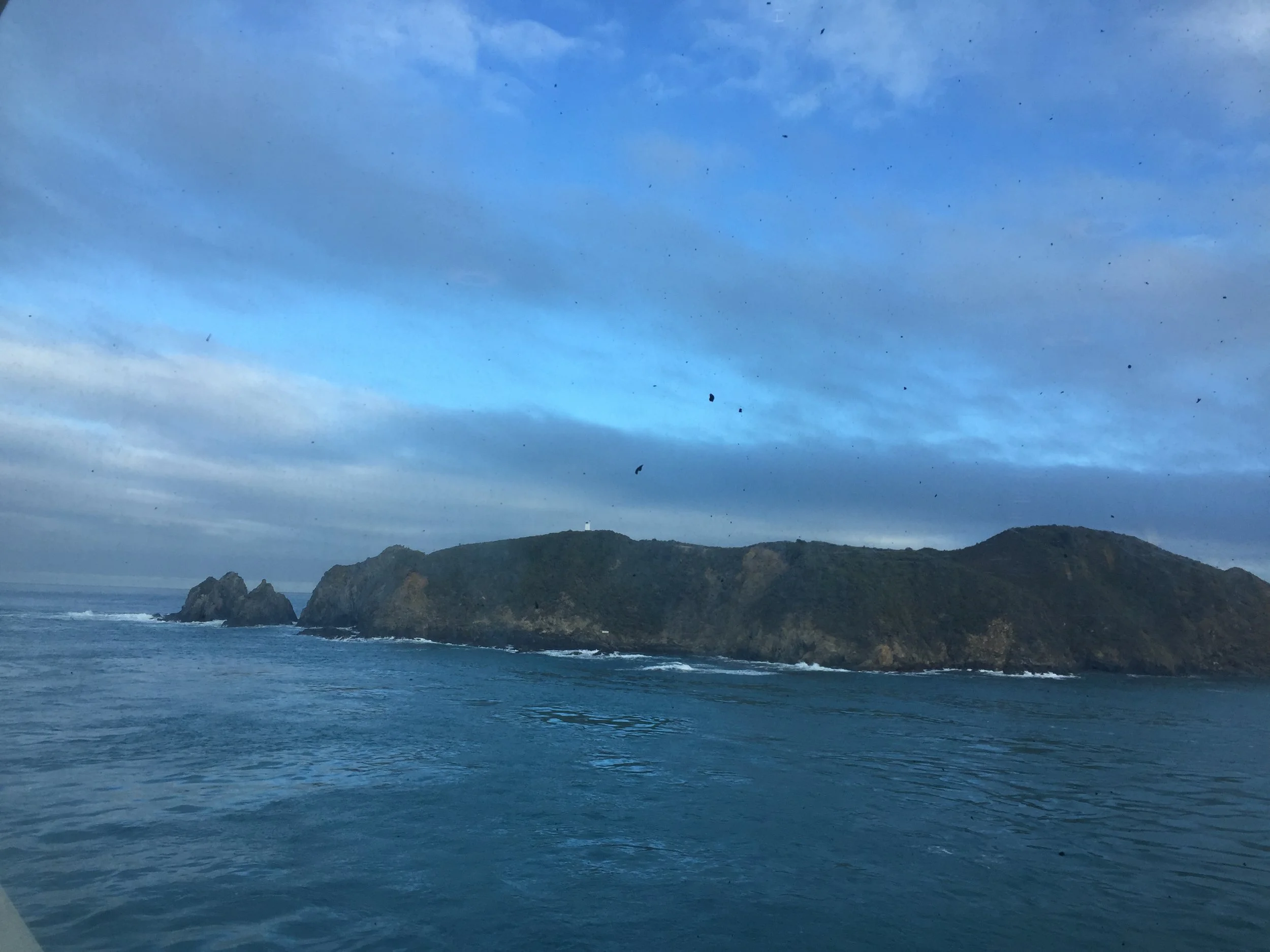 View of Picton as we land on the South Island