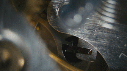 EVE S DREAM_4K_prores.gif