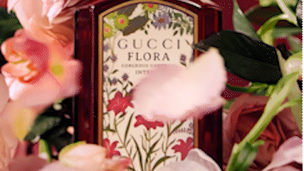 gucci art of .gif