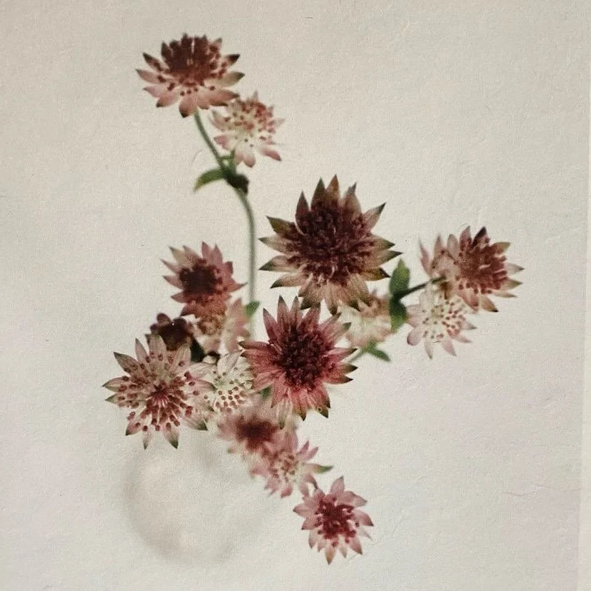 🌷via @les_papiers_bleus @awagami_factory #audreycoppens #awagamifactory #floral #print #beginning