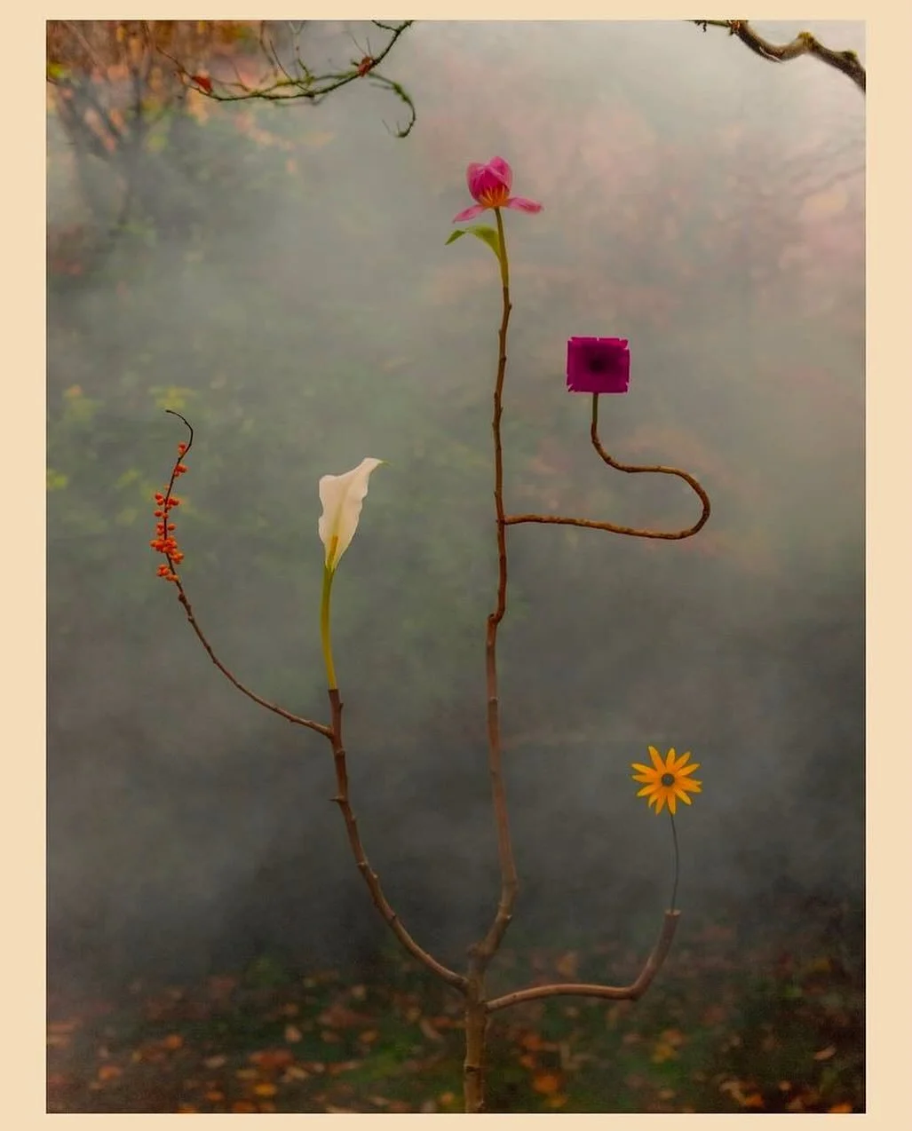 🐋via @bonjourlatour Wild Species no25 by Jennifer Latour #jenniferlatour #print #floral #breath