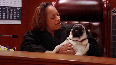 This Judge has a funny dog, which is almost as awesome.
