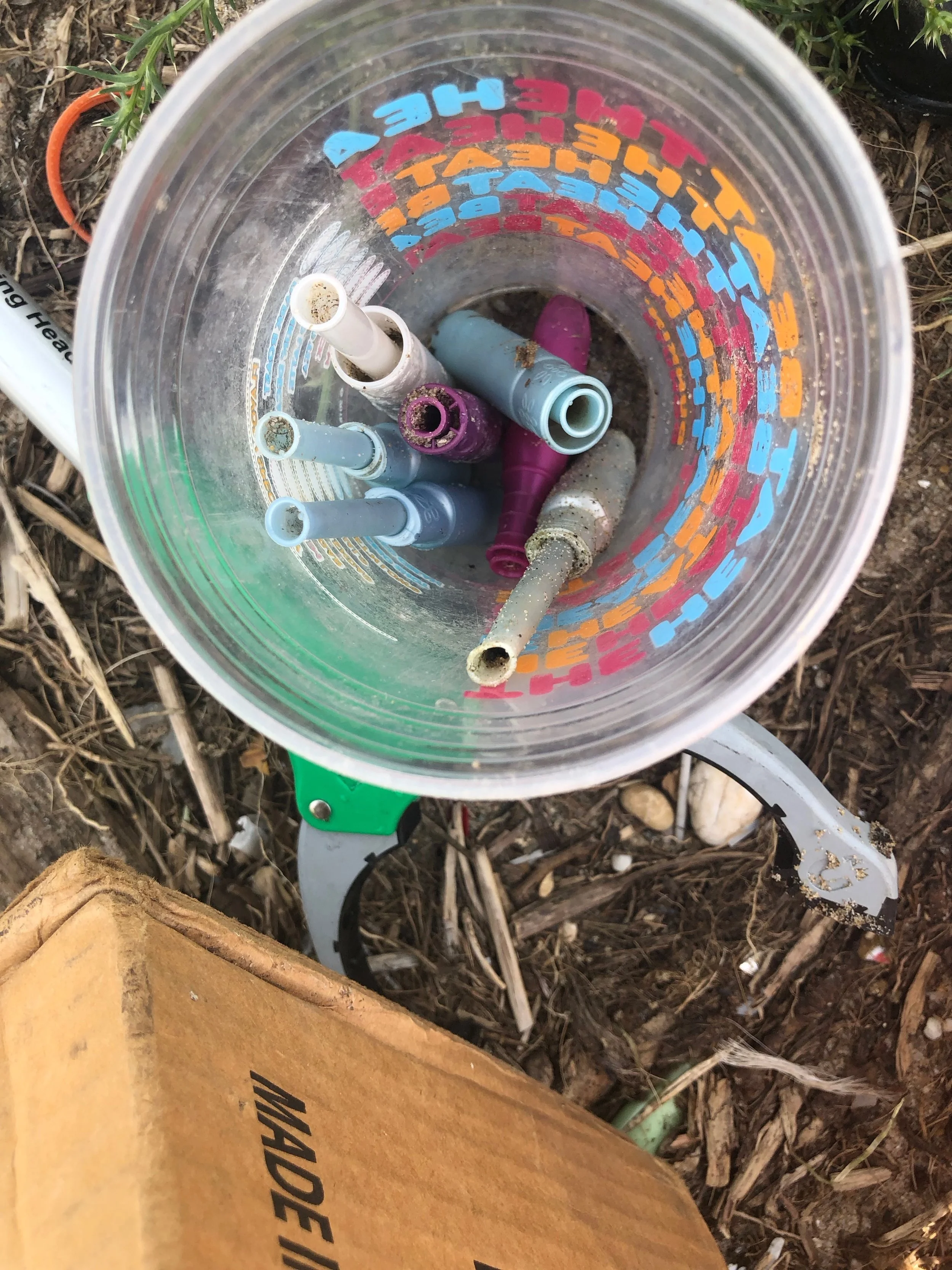 Leslie started a collection of the applicators we found in just a few minutes in the tiny space we were working in.