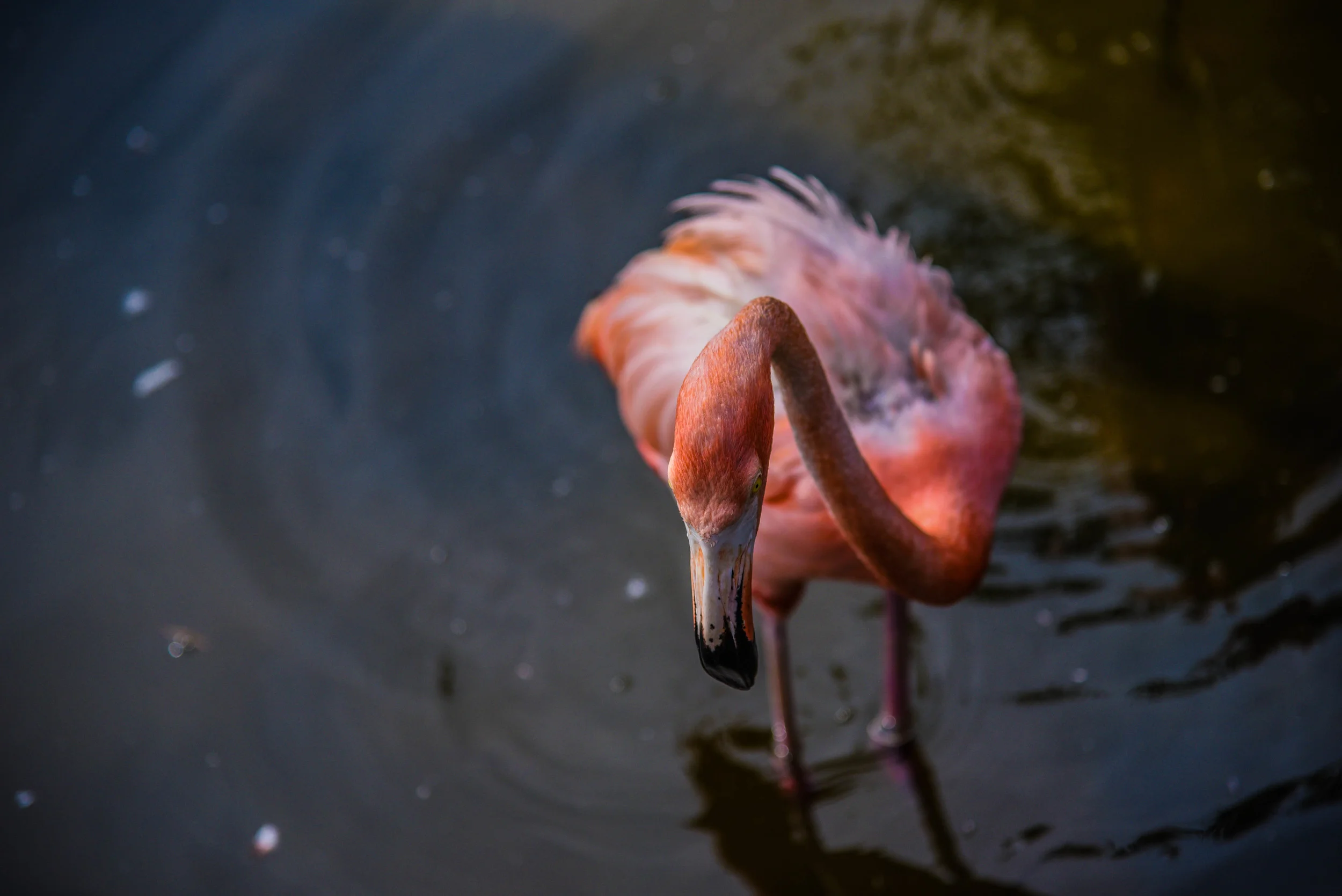 DSC_5328-2.jpg