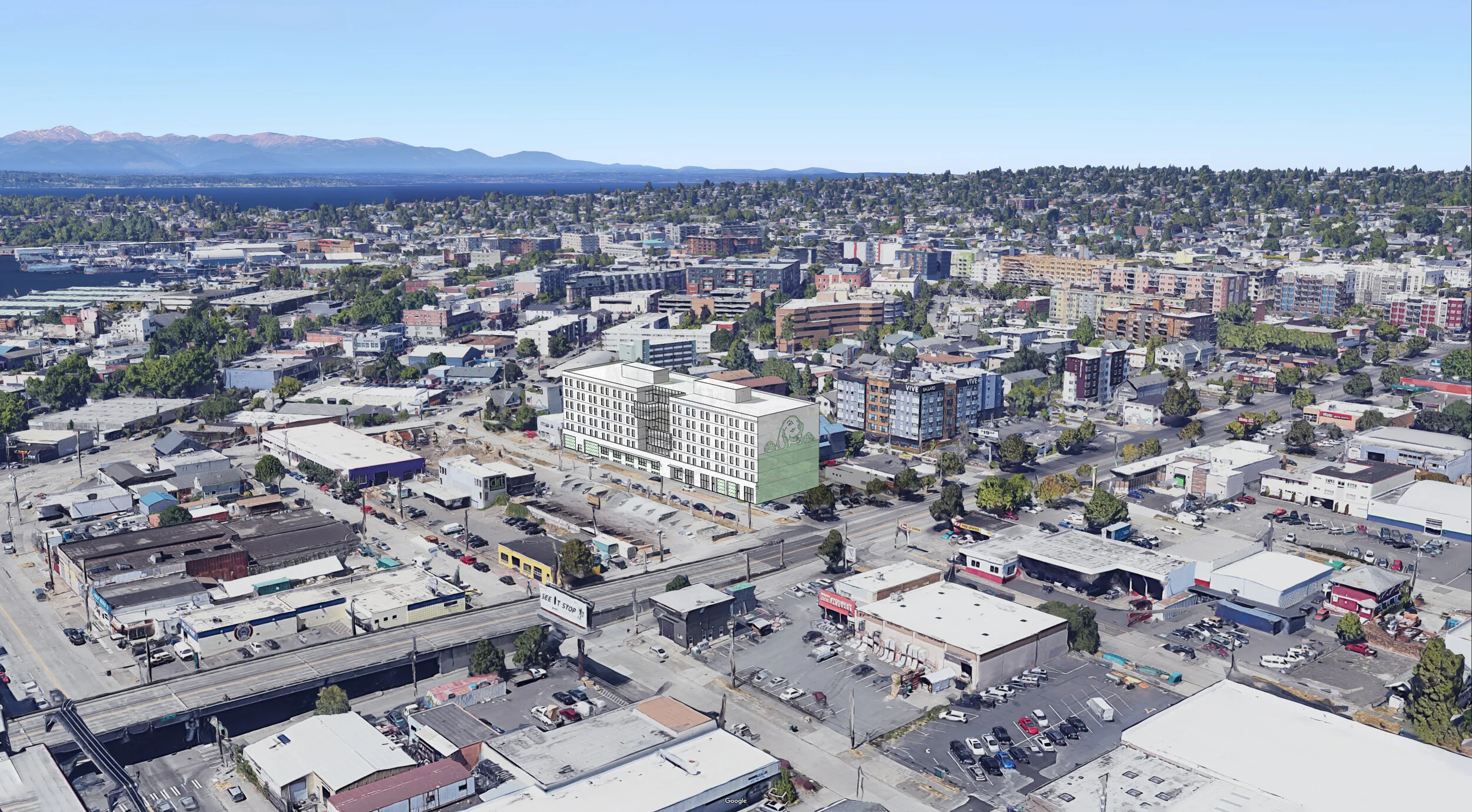 GOOGLEVIEW_FINAL.jpg
