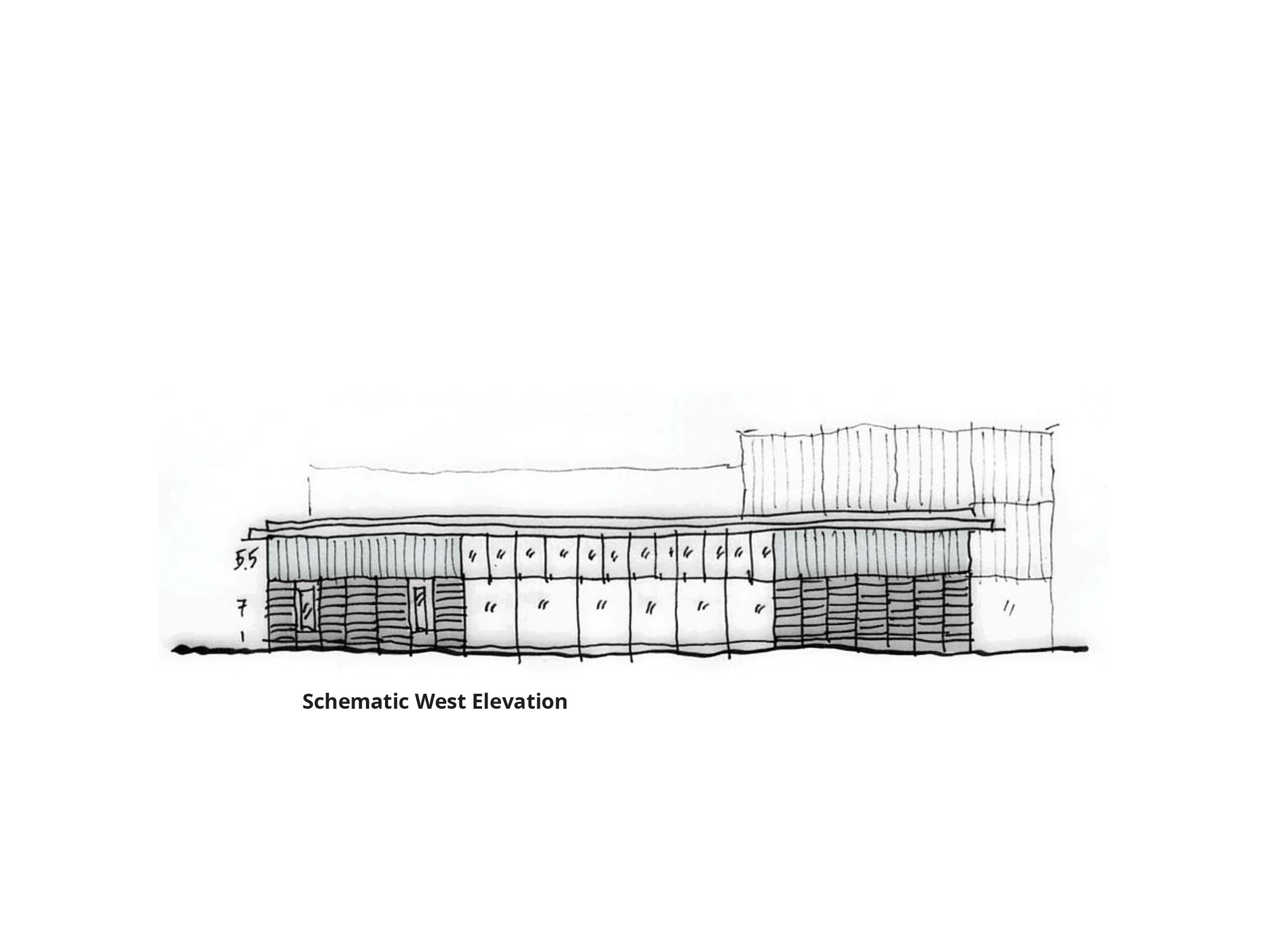 Forest House durable materials tall windows framed view sketch