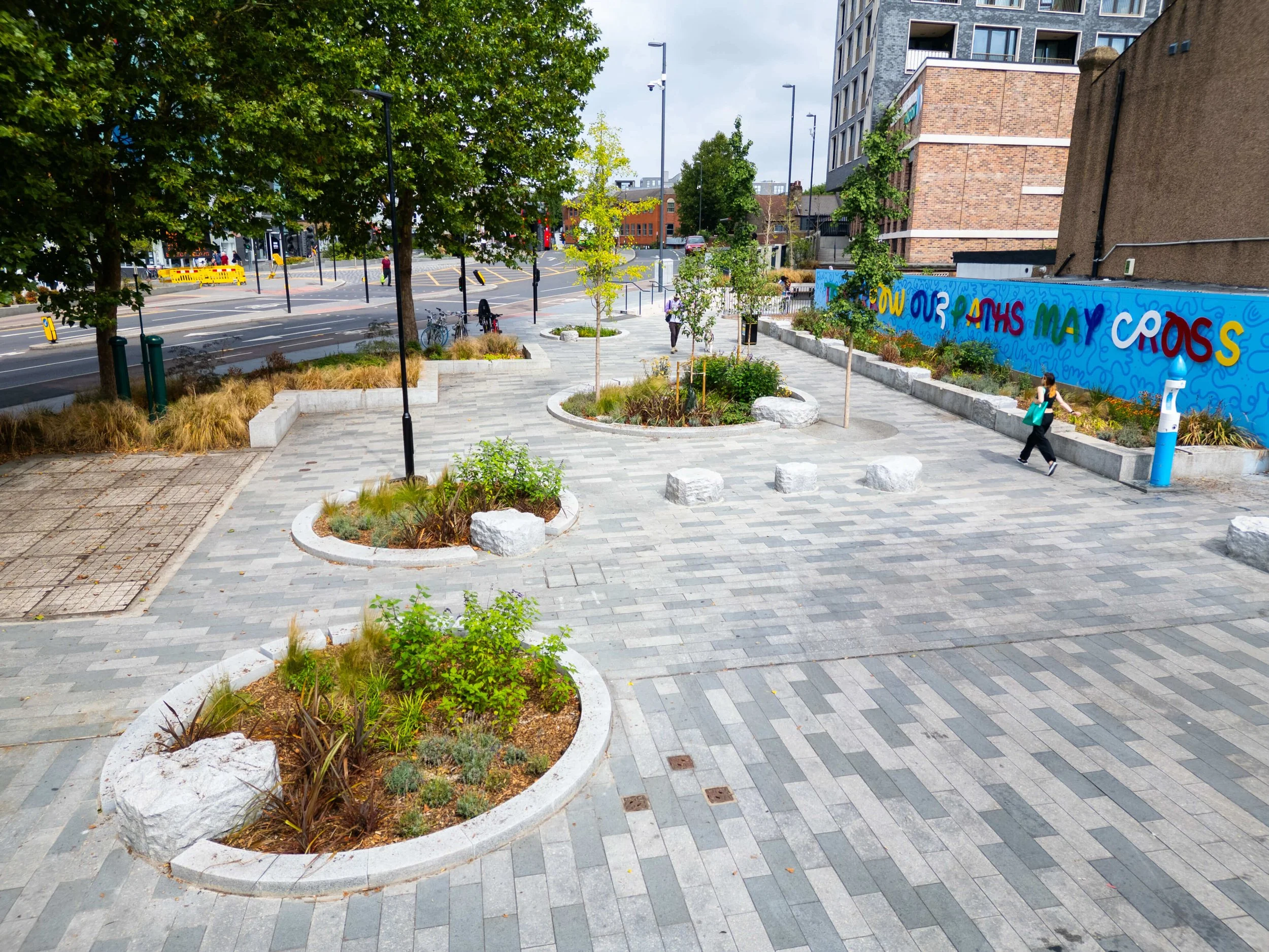 Juniper-House-Hoe-Street-Meristem-Design-Waltham-Forest-SuDS-Rain-Gardens-25th-July-2025-13.jpg