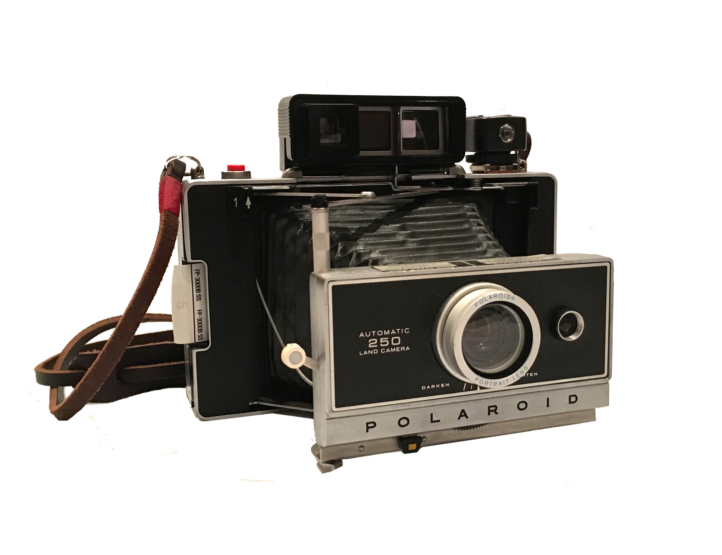Polaroid 250.jpg