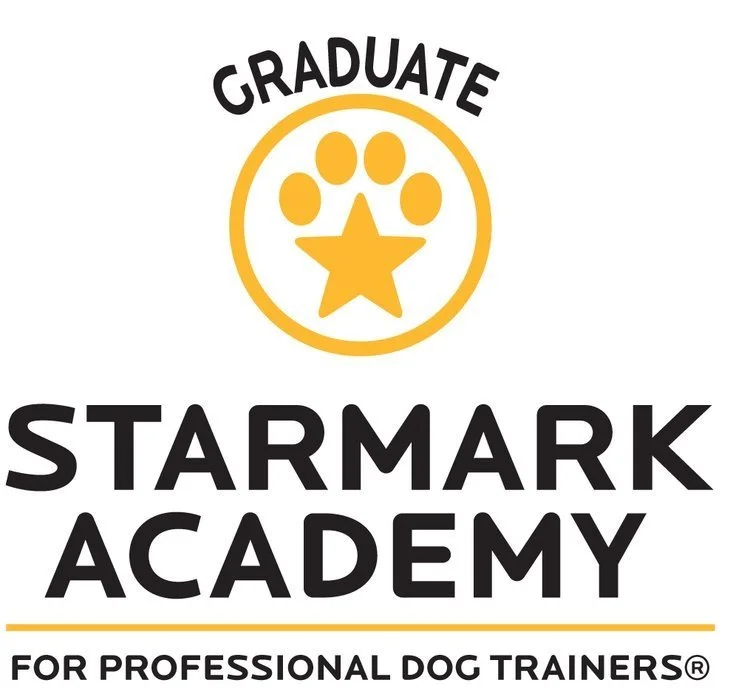 Starmark Academy Graduate Banner