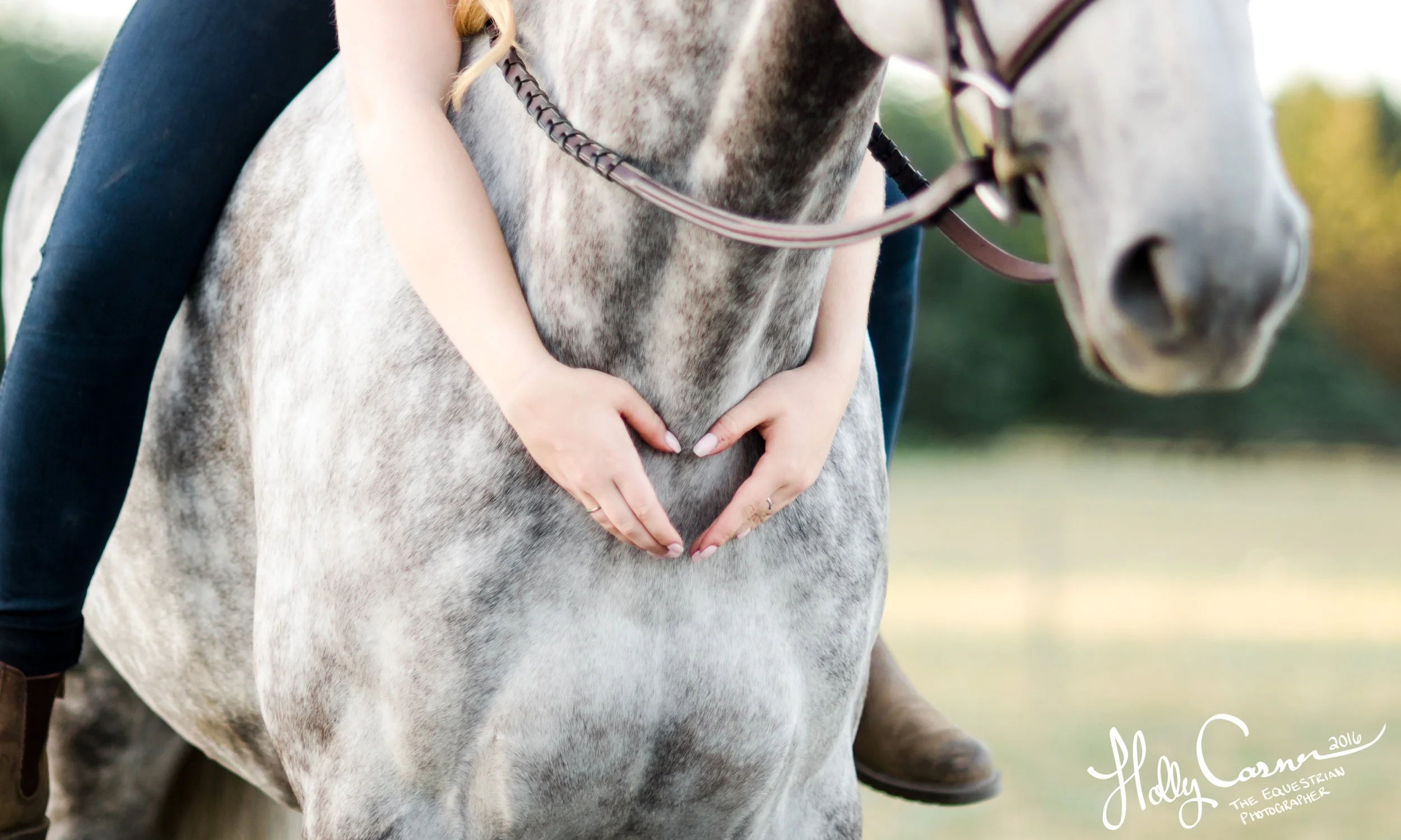Carissa L. | 2017 Equestrian Senior Session