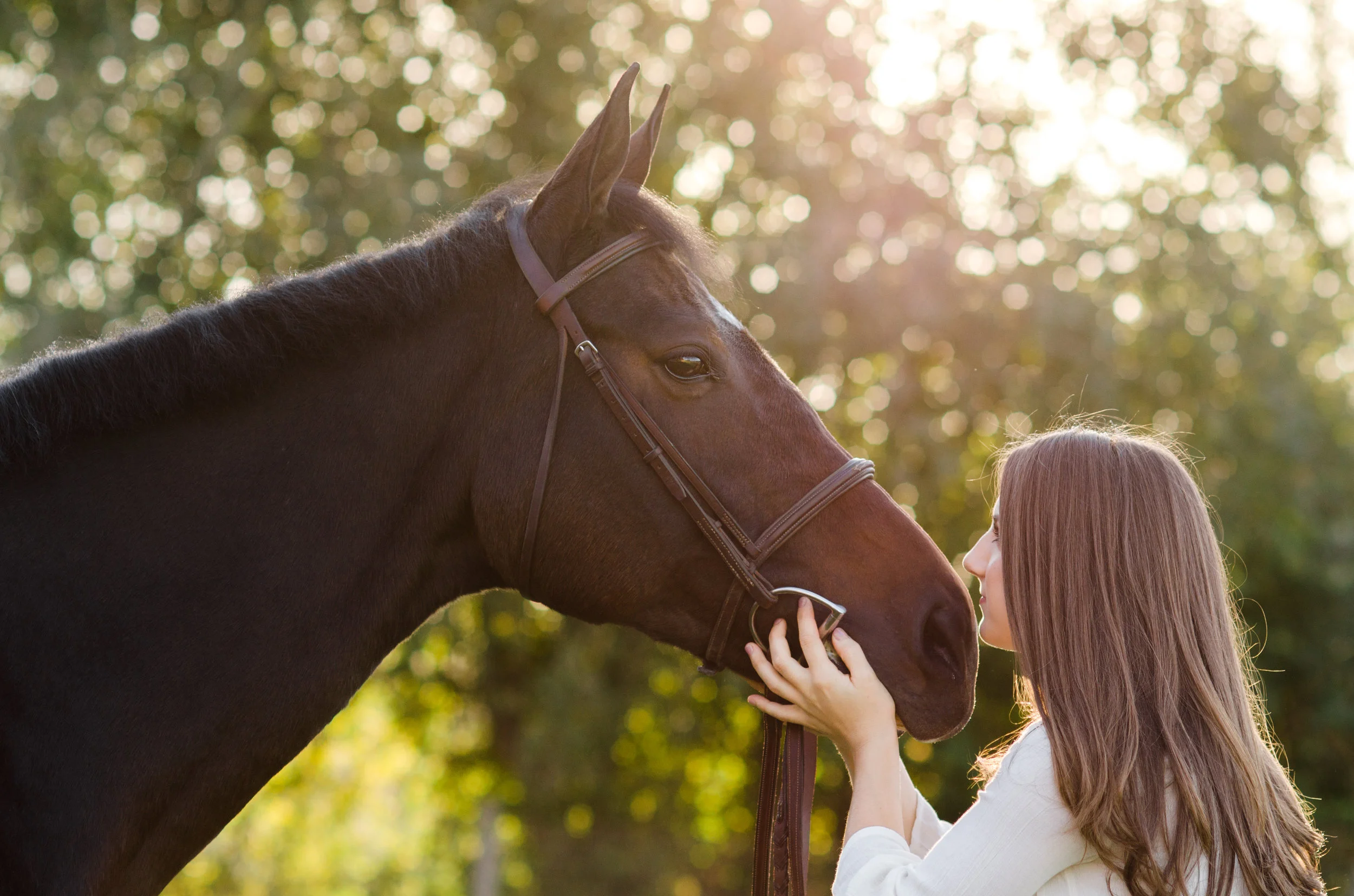 Haley F. | 2017 Equestrian Senior Session