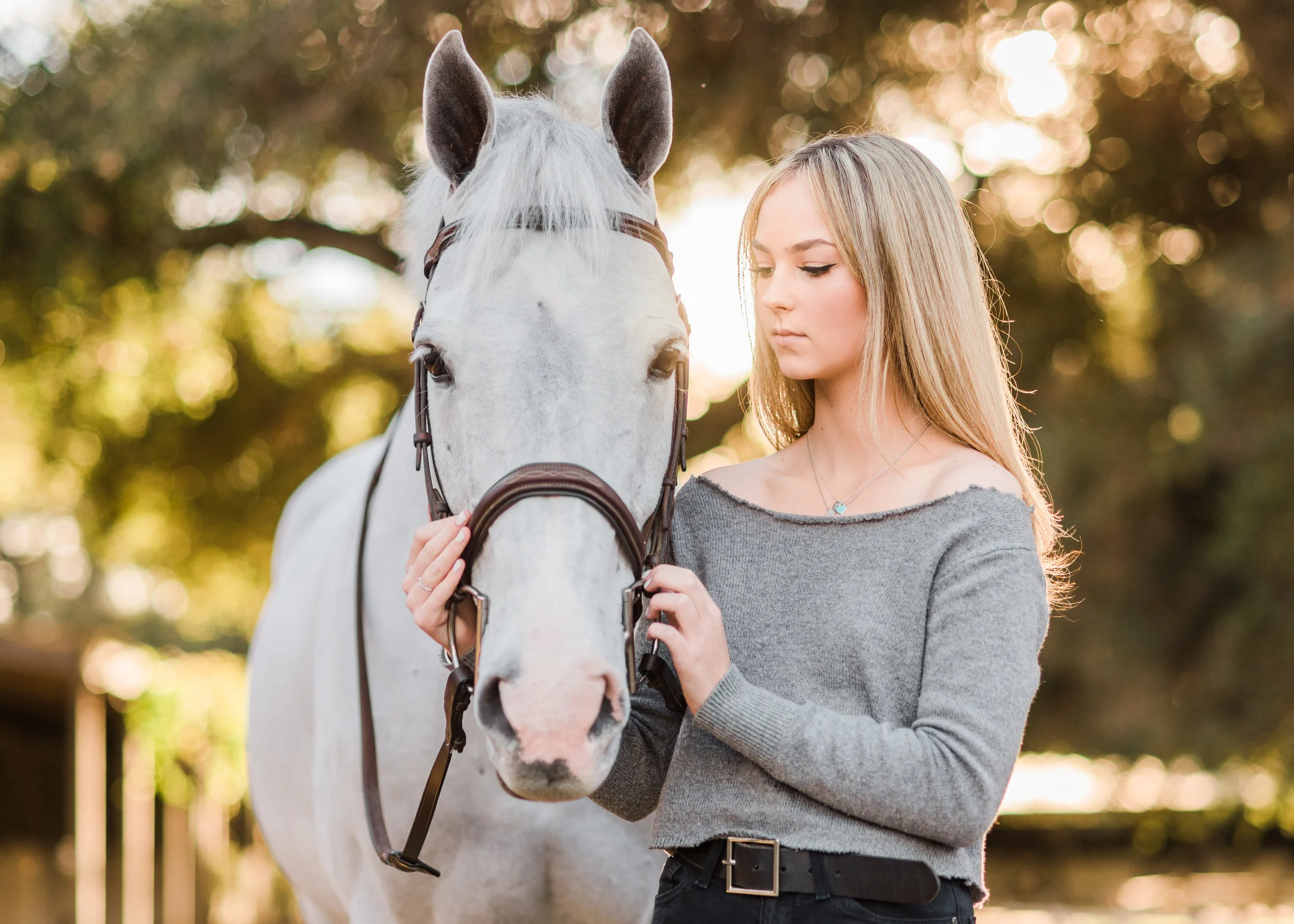 Brooke | Horse &amp; Rider Session