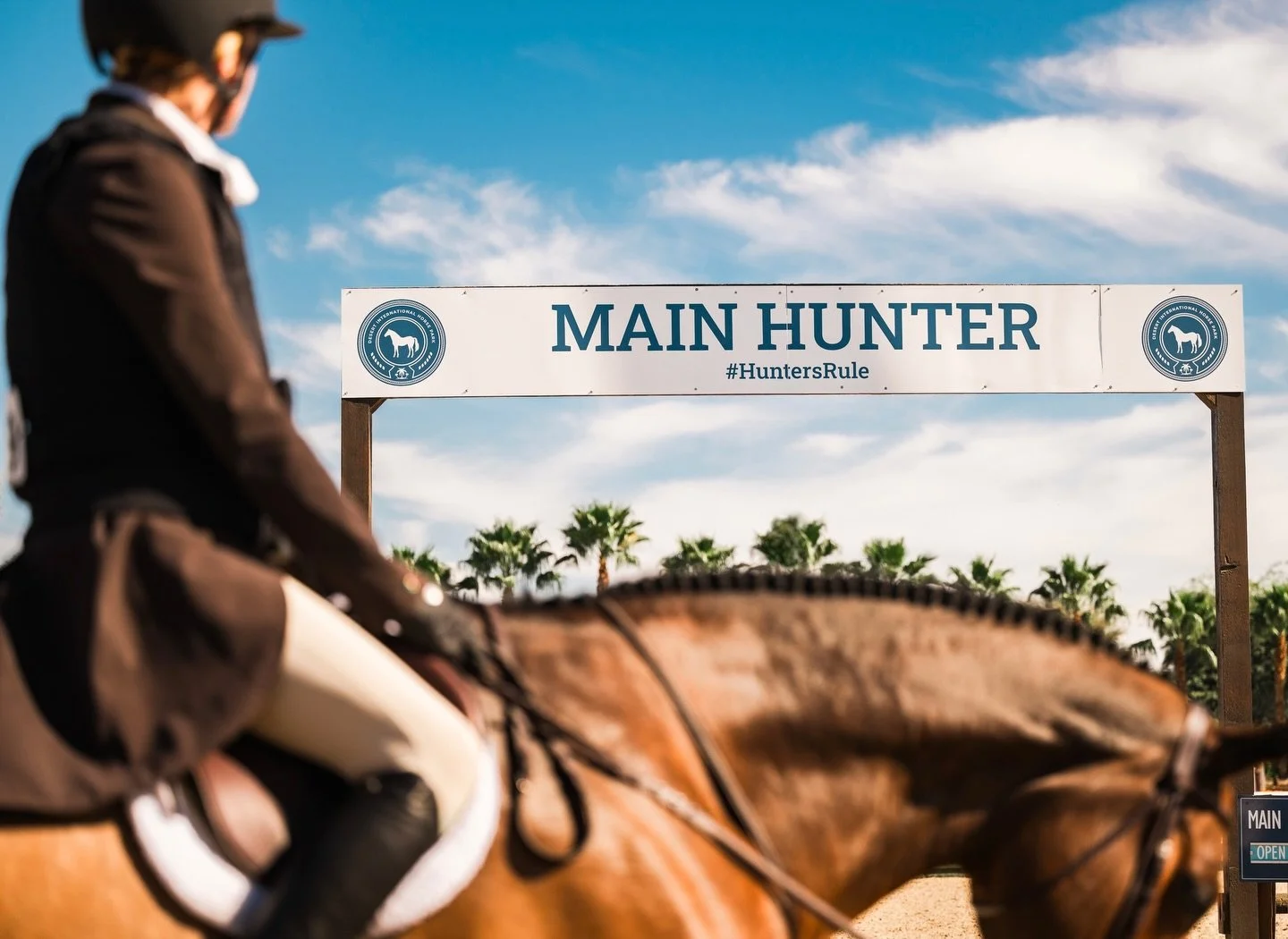 Guys, it&rsquo;s time to get excited. Because this week is ✨HUNTER WEEK✨at DIHP #wchr