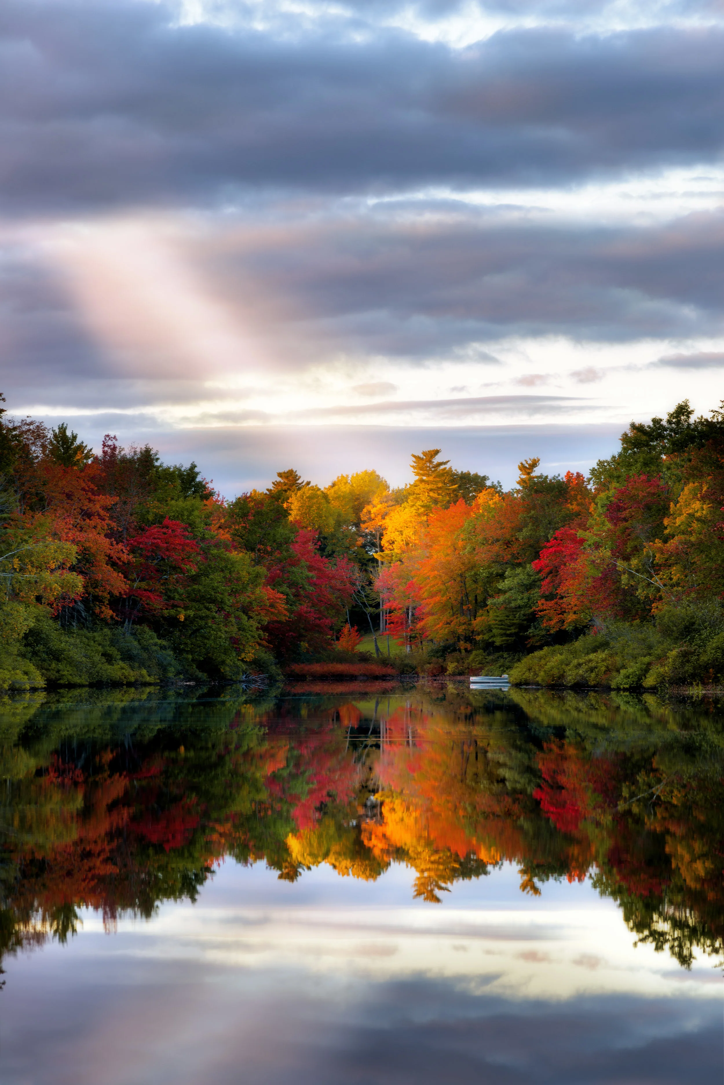 D60_2209-Edit-22.jpg