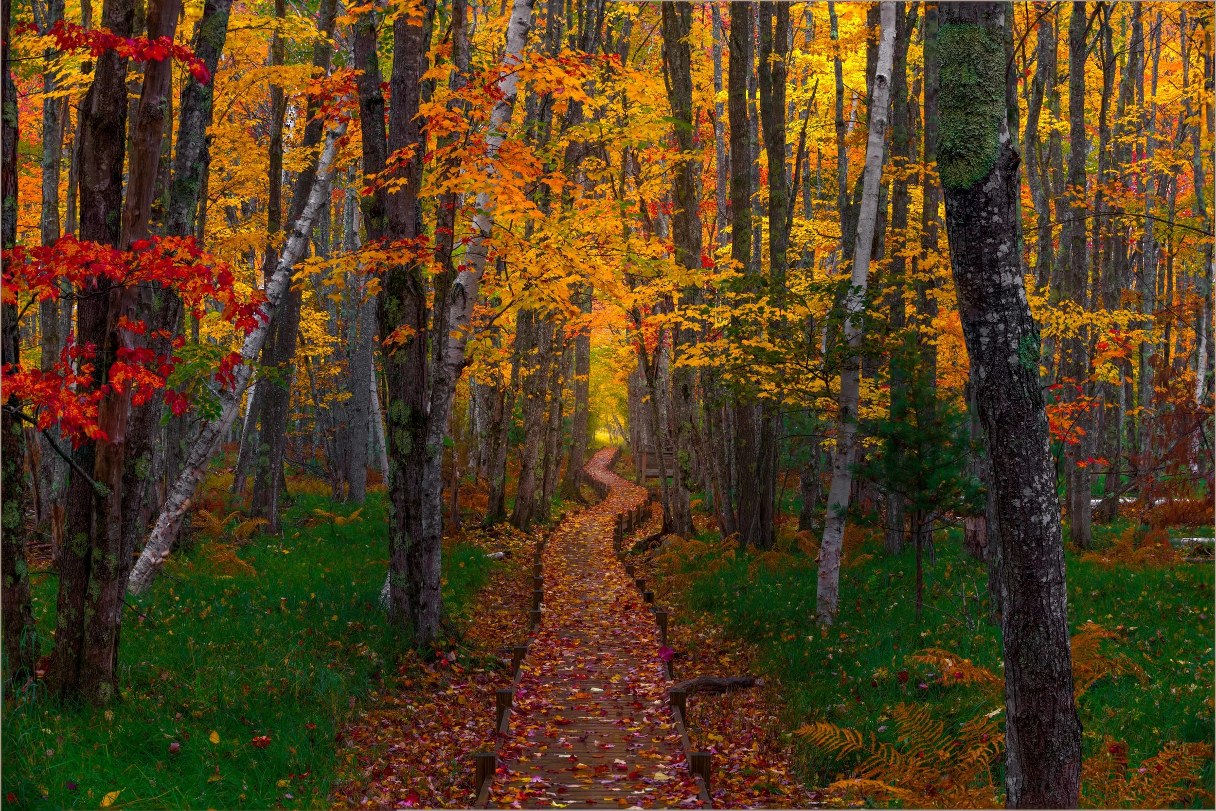 Acadia National Park Fall