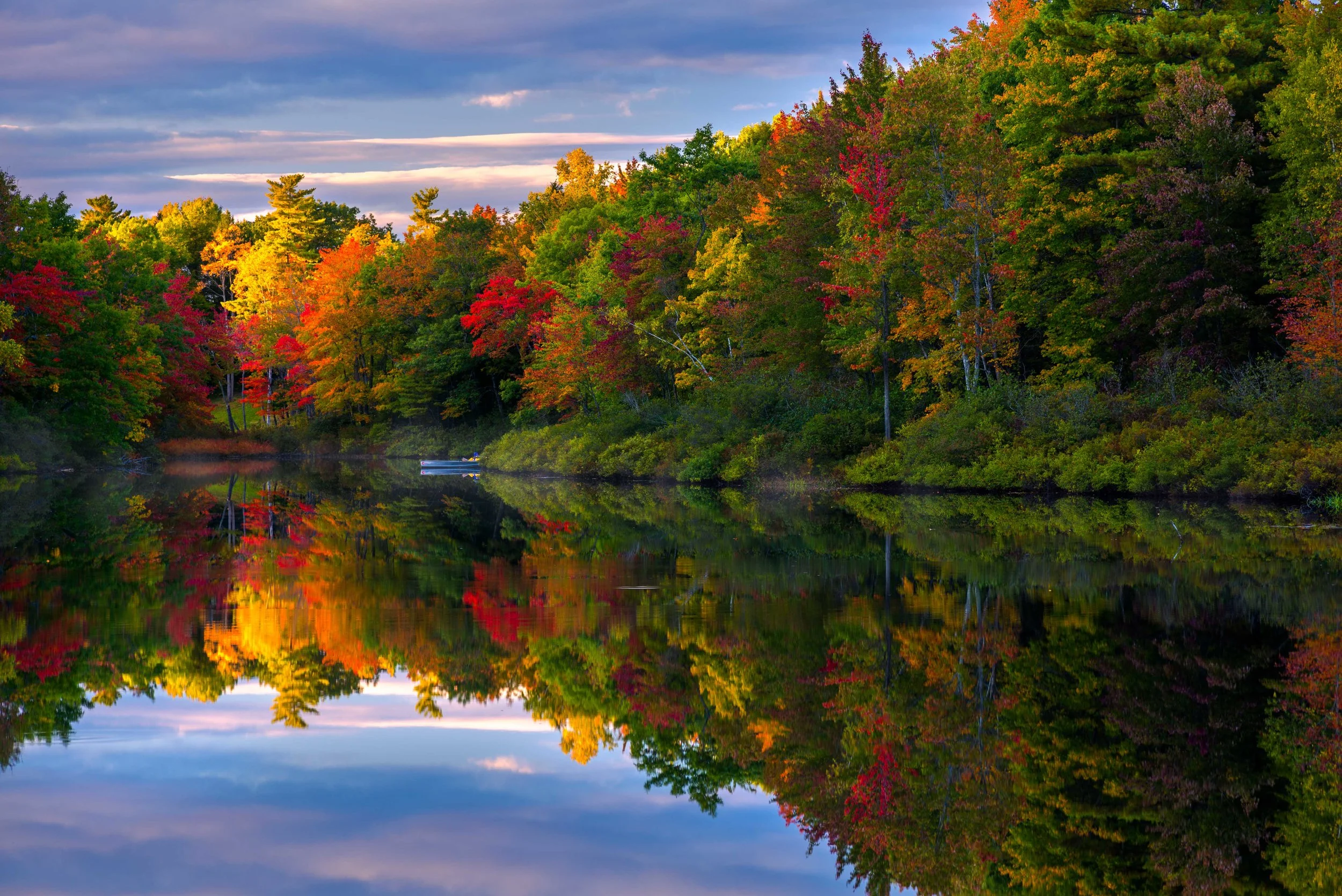 Downeast Maine Foliage 