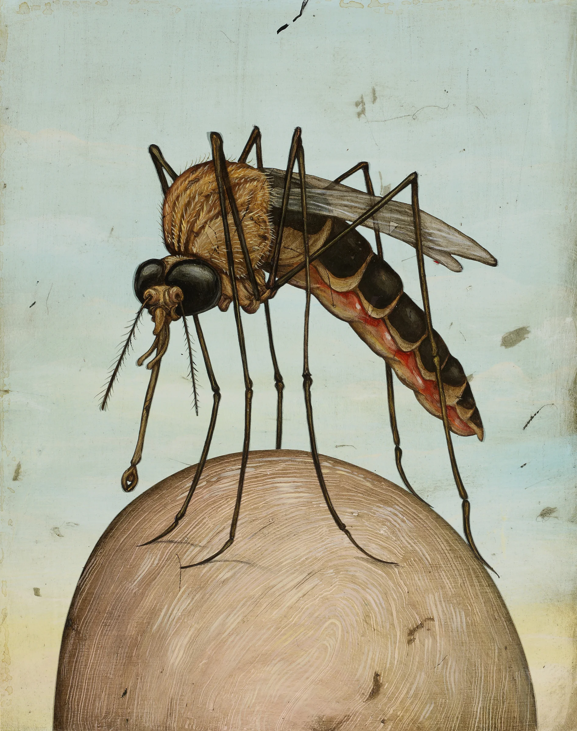 Colloquy / Getting the Upper Hand on Malaria