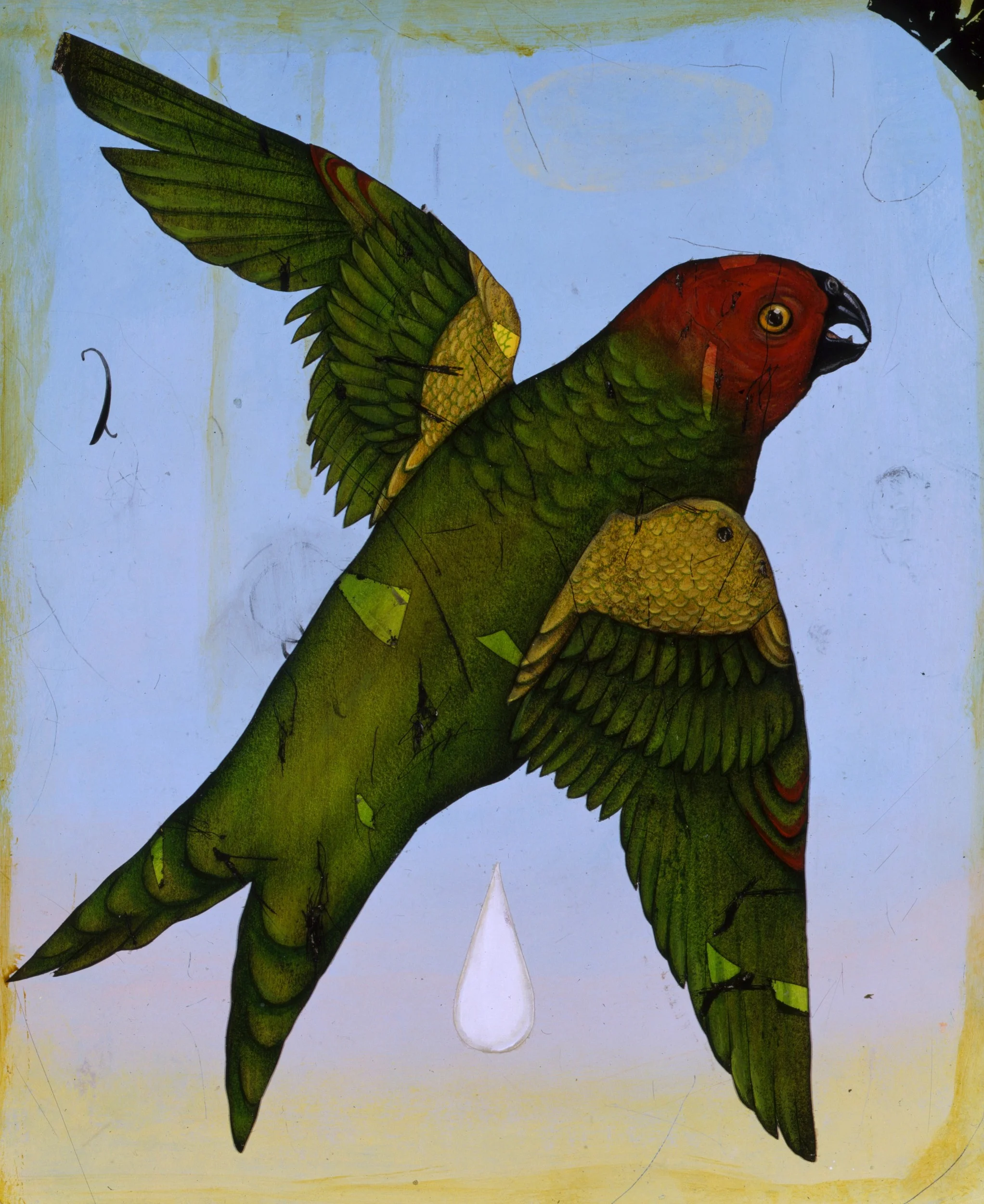 Los Angeles Times / The Feral Parrots of LA