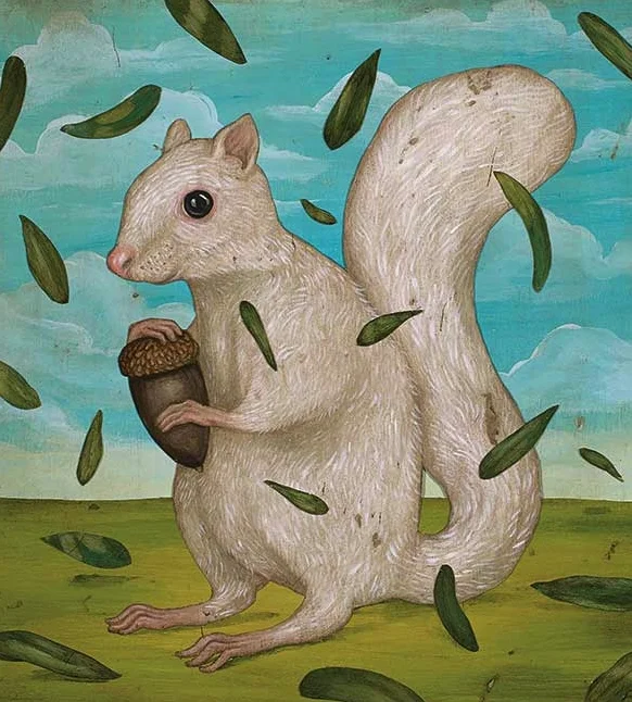 alcalde magazine / the mythical albino squirrel of ut, austin