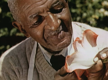 Eco-Ancestor: George Washington Carver