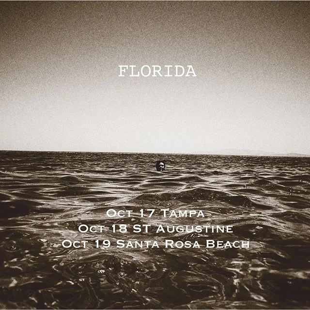 peter bradley adams similar artists