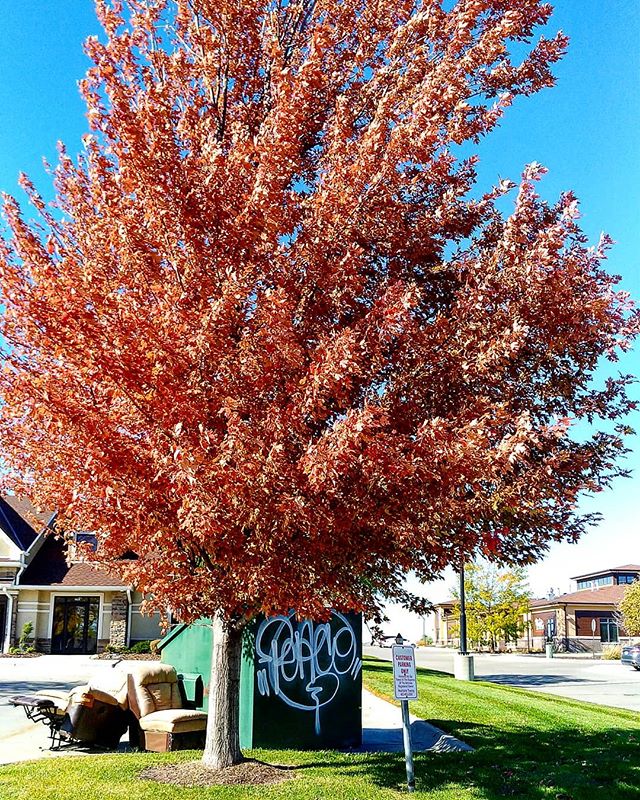 &quot;peace&quot; . . . . .

#Photography #igersomaha #omahaphotography
#Moodygram #snapshot #moment #photooftheday #picotheday #peace #fall #graffiti
#Thisisnebraska #nebraskanice #visitnebraska #igersmidwest #urbanphotography #naturalbeauty #fallsc