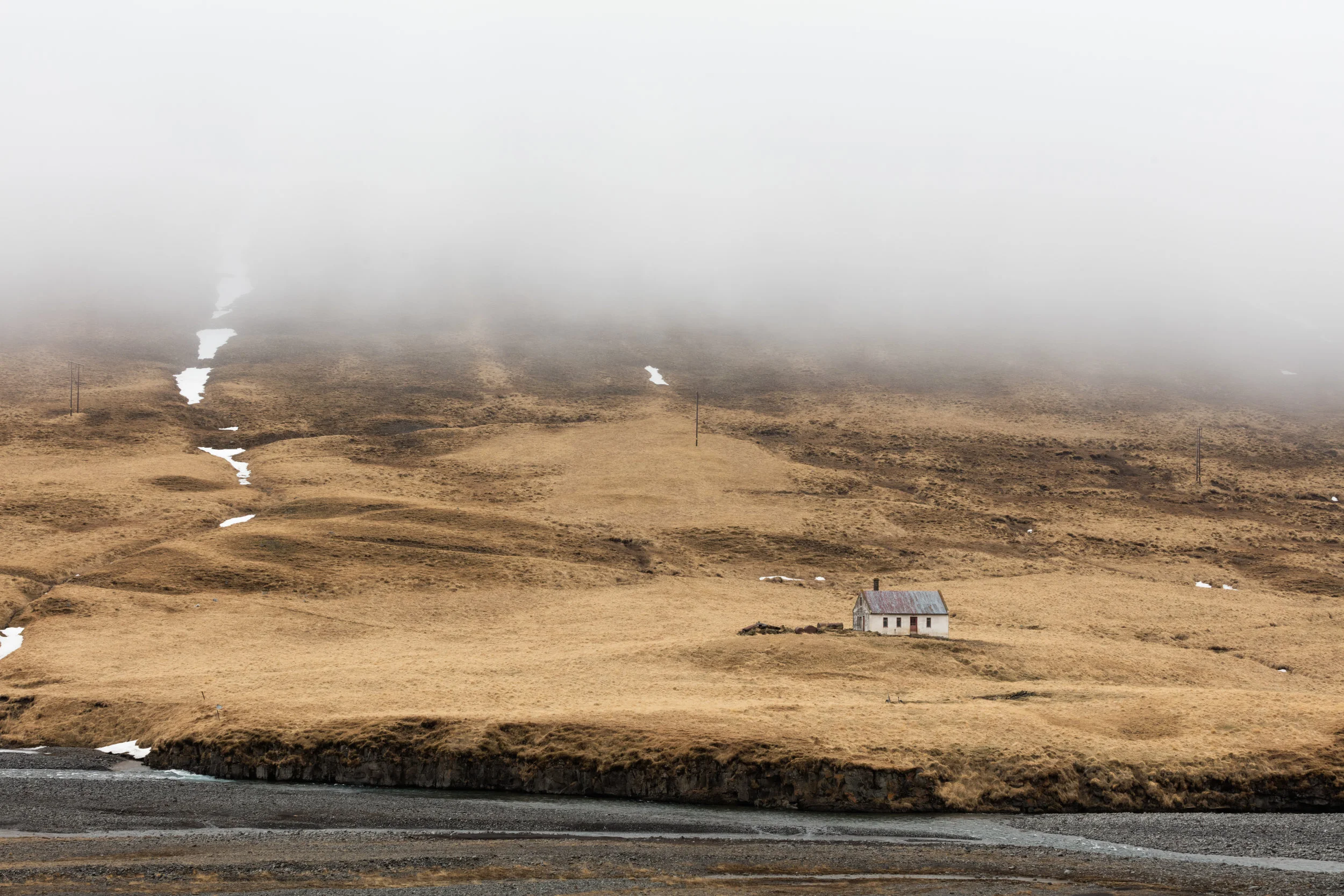 Landscapes+West+Iceland+-+Faune.jpg
