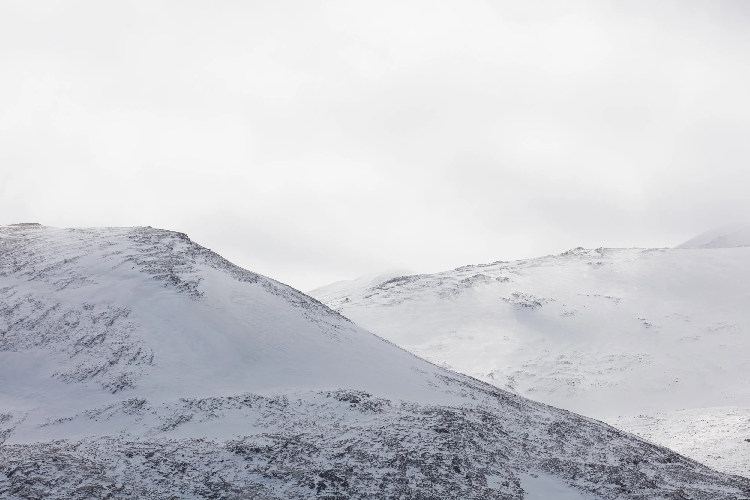 Landscapes+West+Iceland+-+Faune.jpg