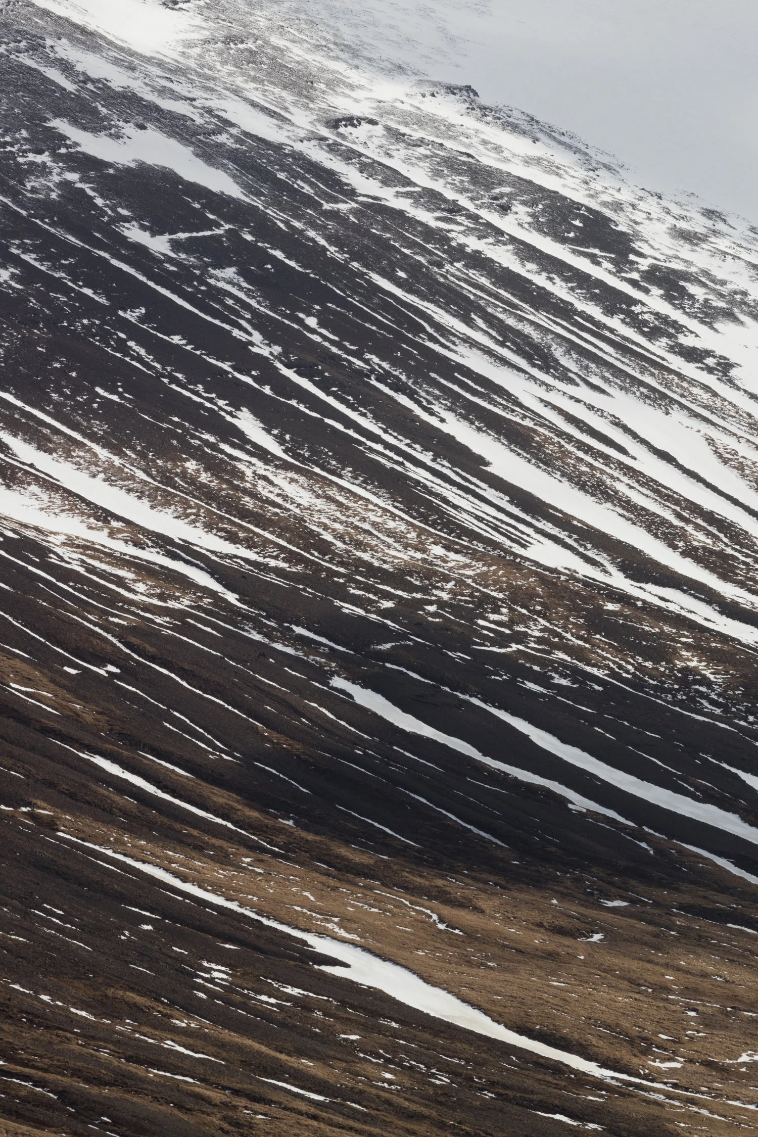Mountain+Detail+|+The+Fox+Plateau+-+Faune.jpg