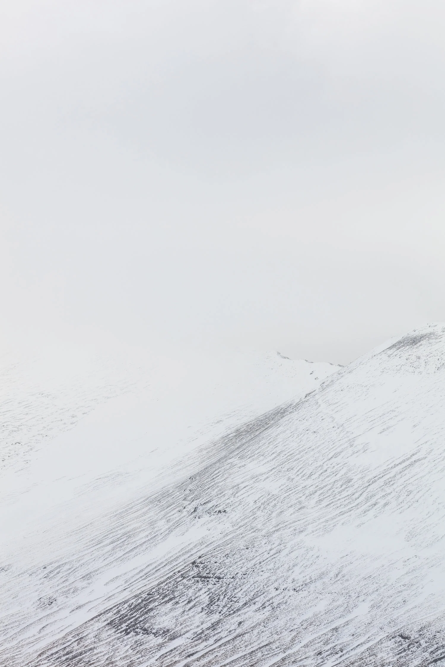 Snow+Capped+Mountain+Peaks+|+The+Fox+Plateau+-+Faune.jpg